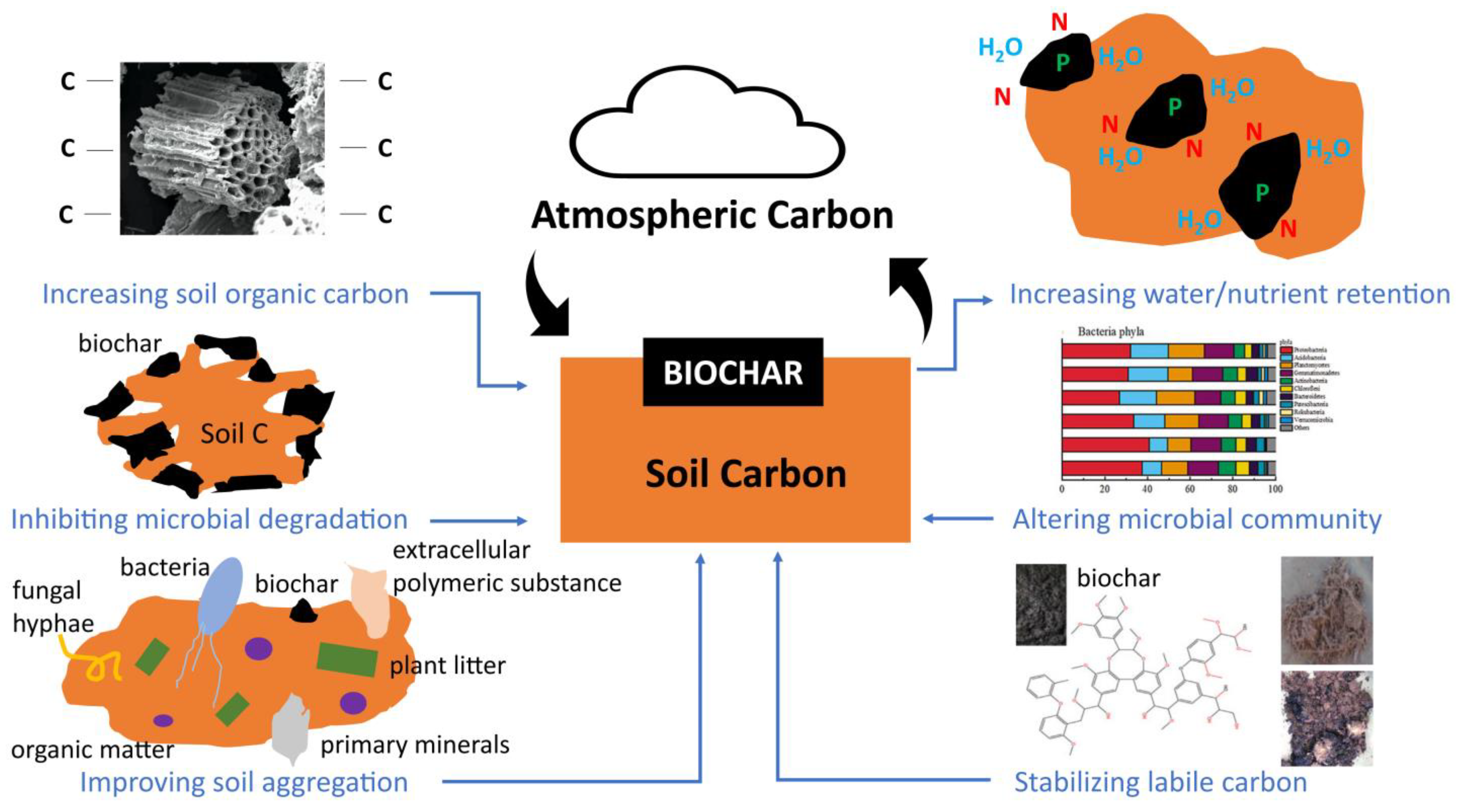 Carbon 09 00067 g006 Carbon 09 00067 g006