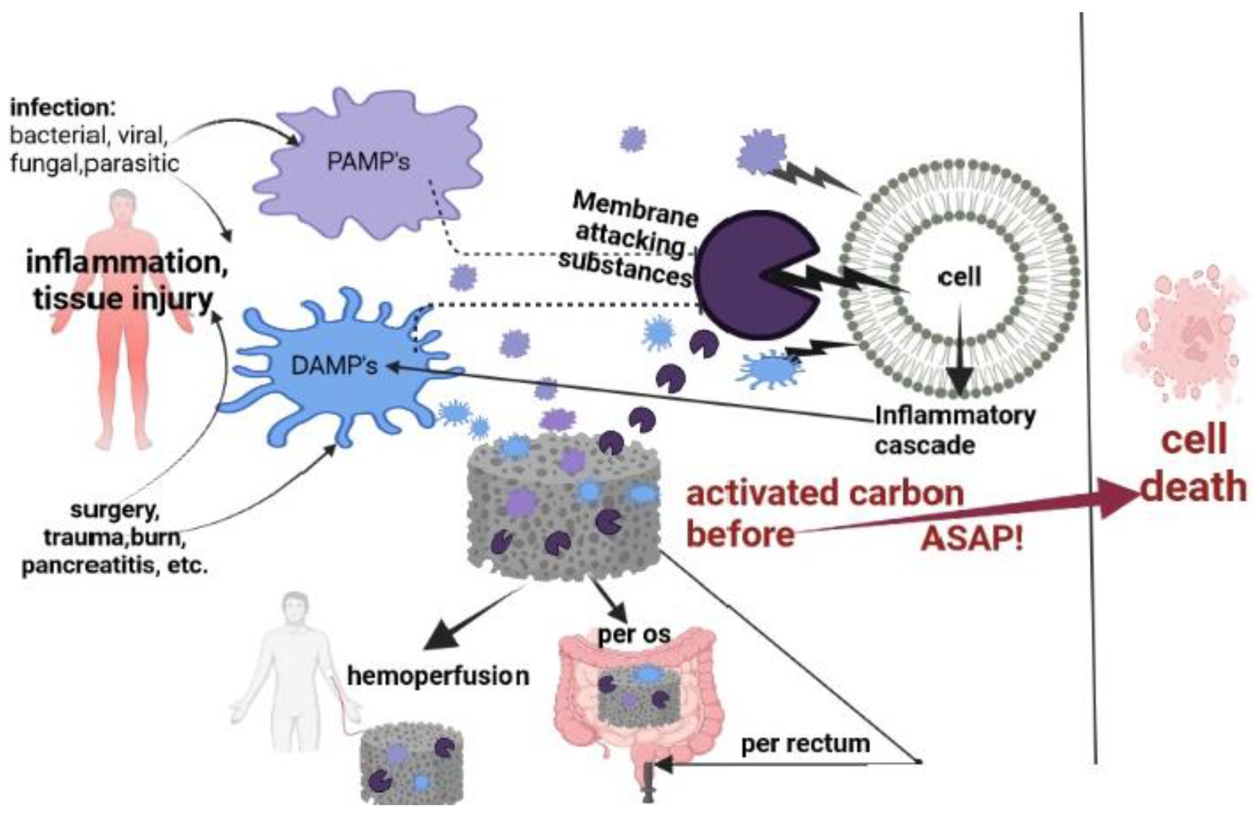 Carbon 09 00072 g001 Carbon 09 00072 g001