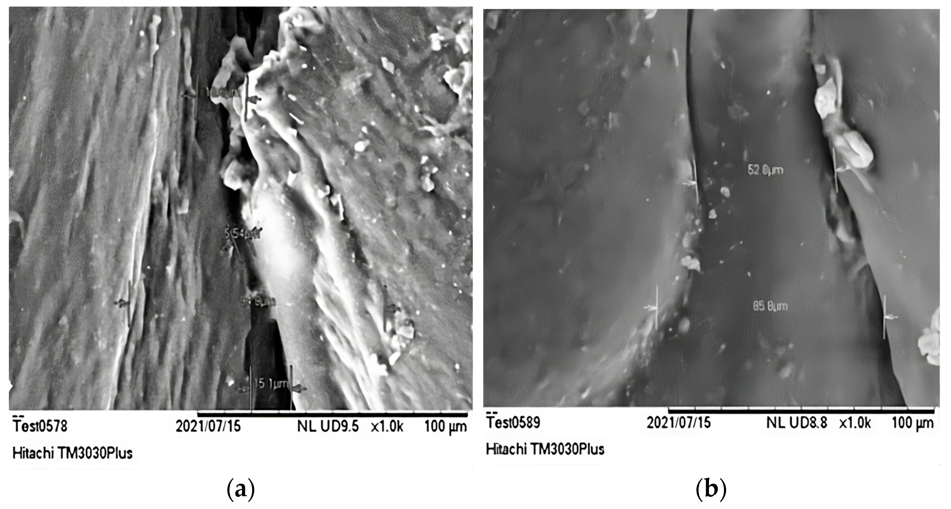 Carbon 09 00111 g010