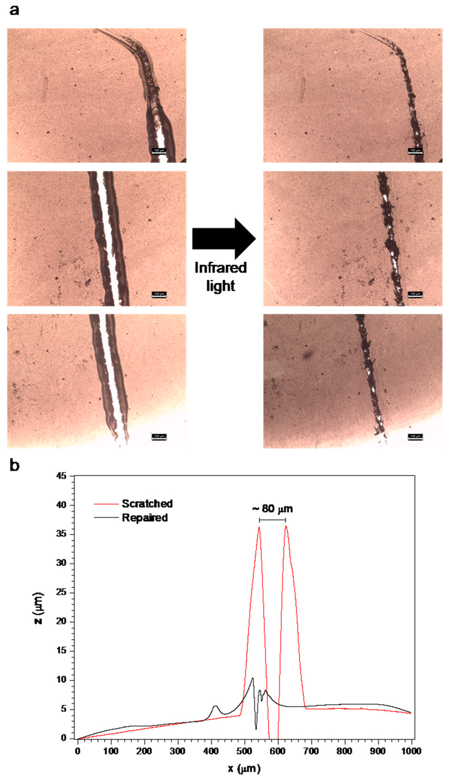 Carbon 09 00119 g016