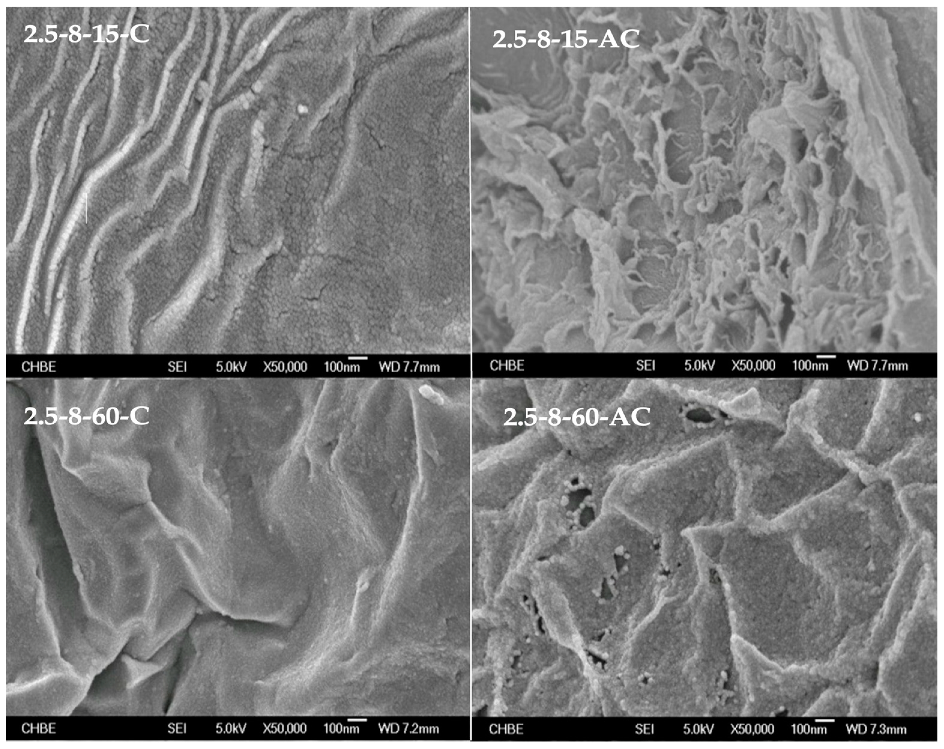 Carbon 10 00043 g007b