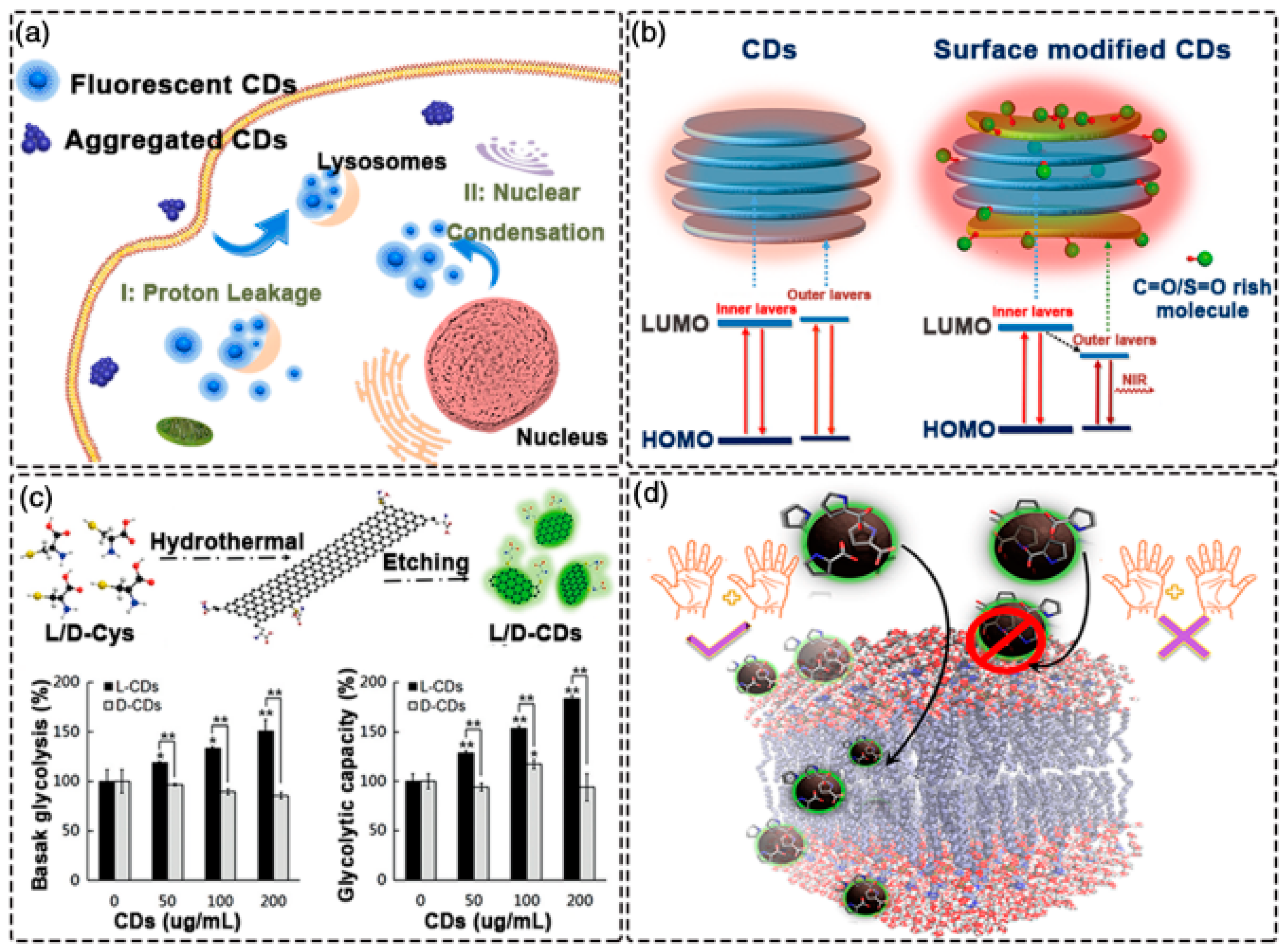 Carbon 10 00060 g012