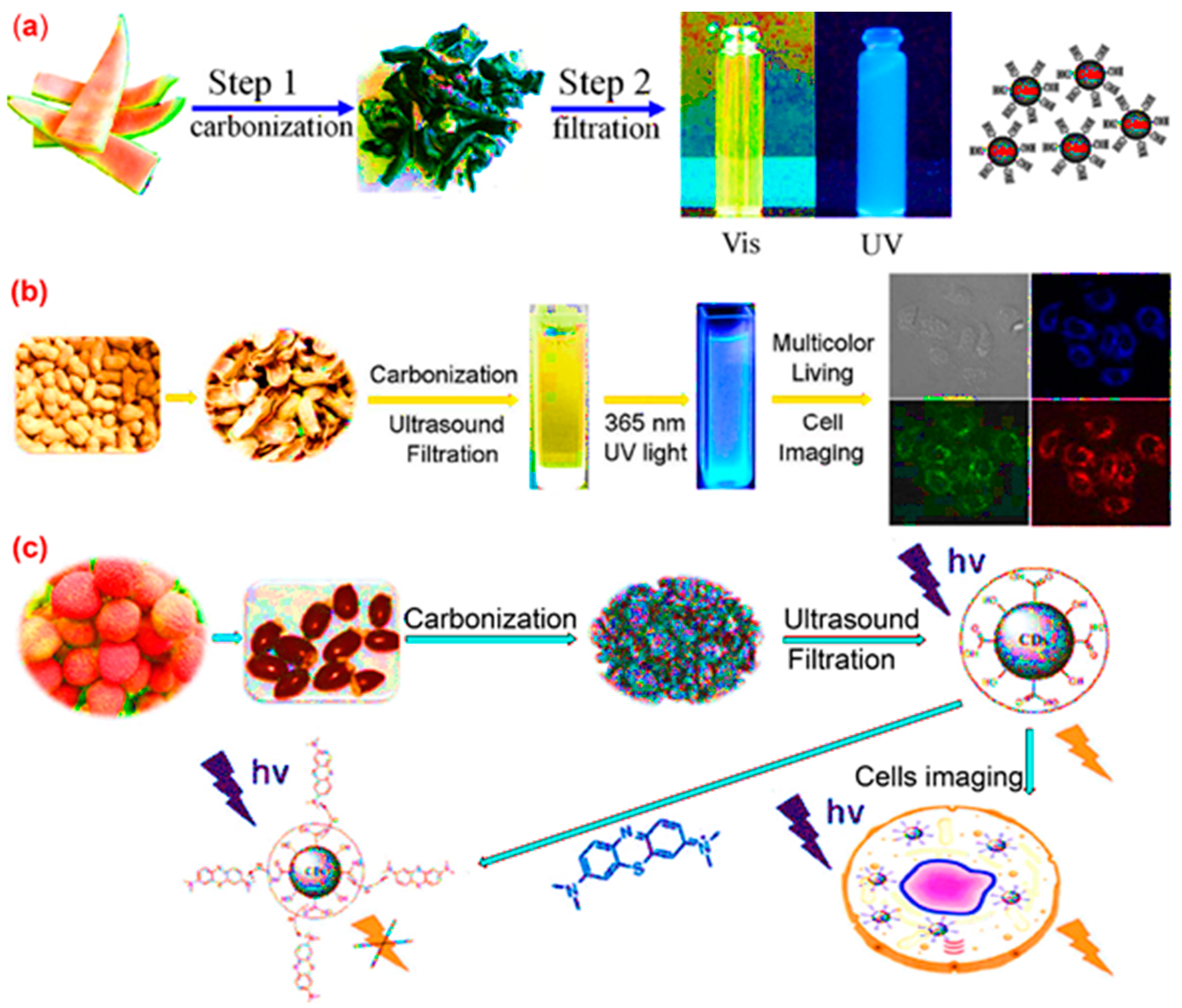 Carbon 10 00060 g016