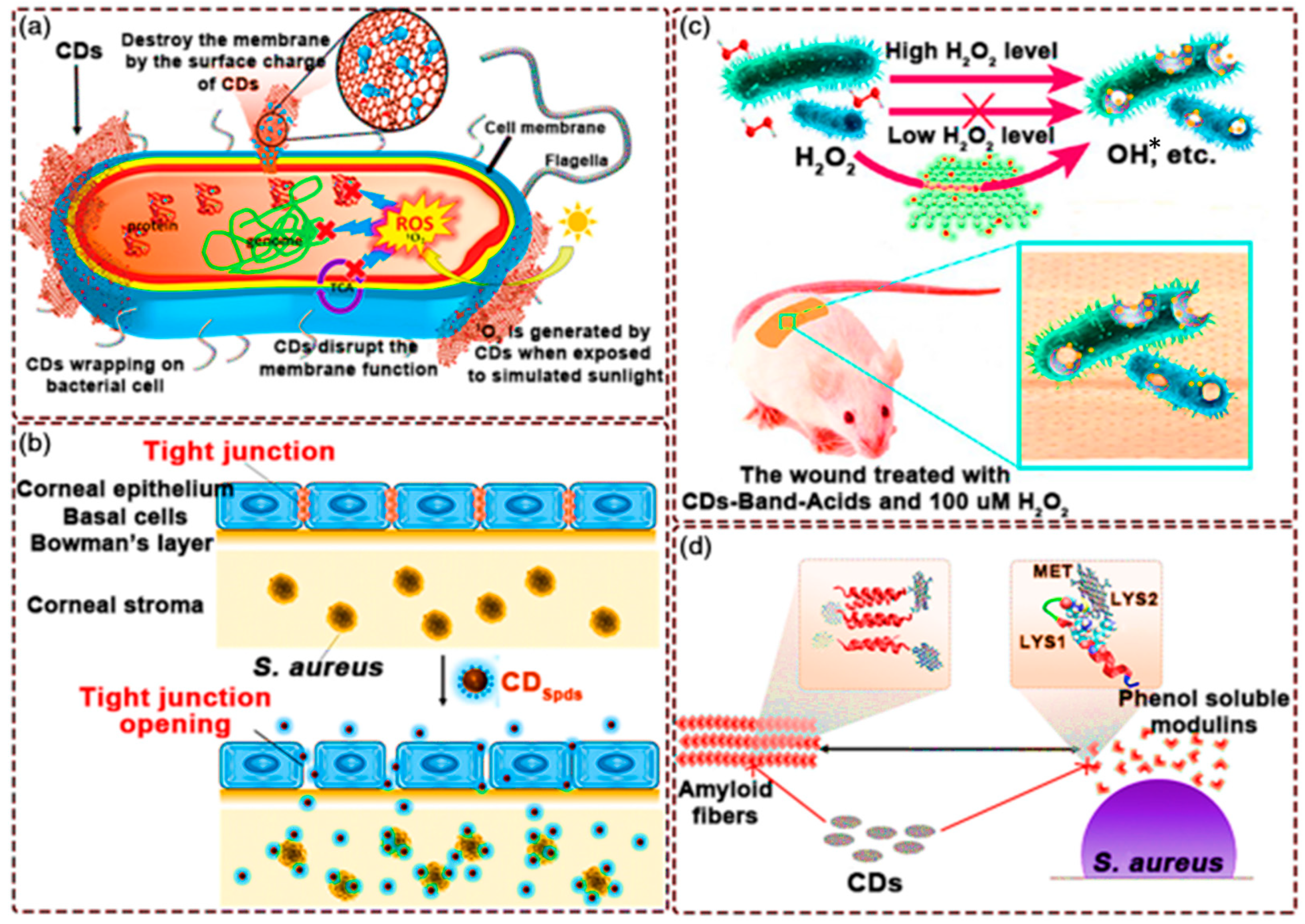 Carbon 10 00060 g018