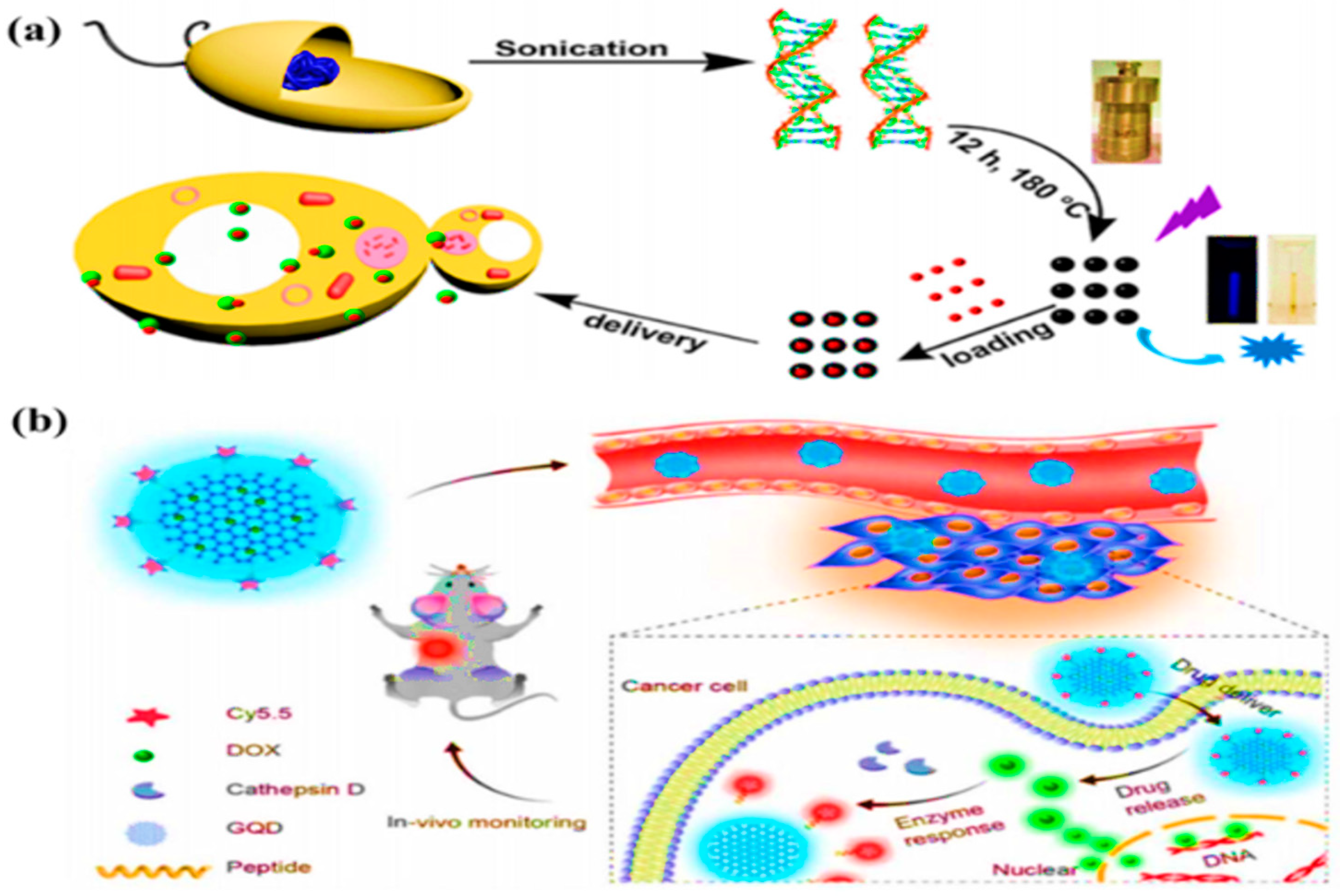 Carbon 10 00060 g019