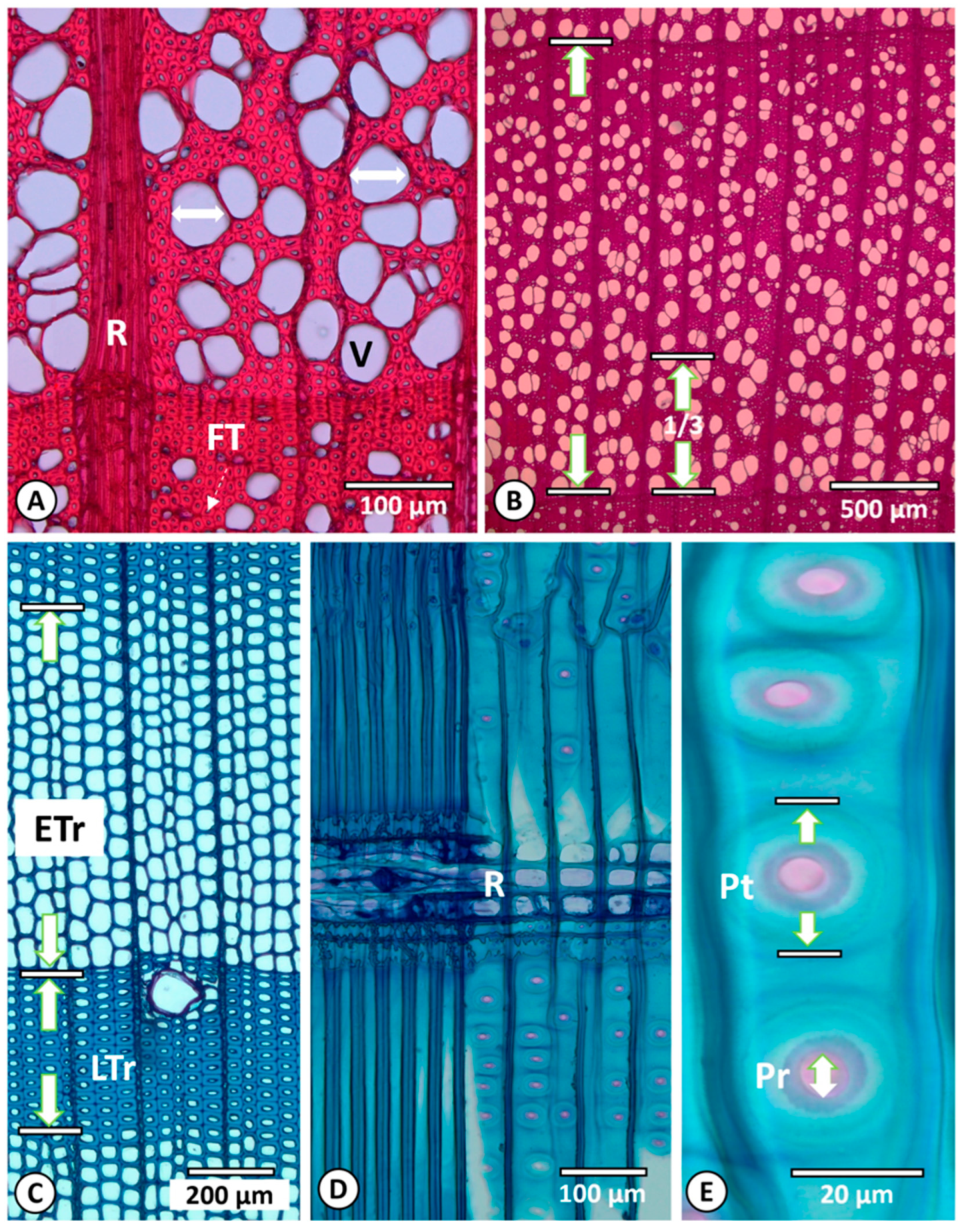 Carbon 10 00077 g008