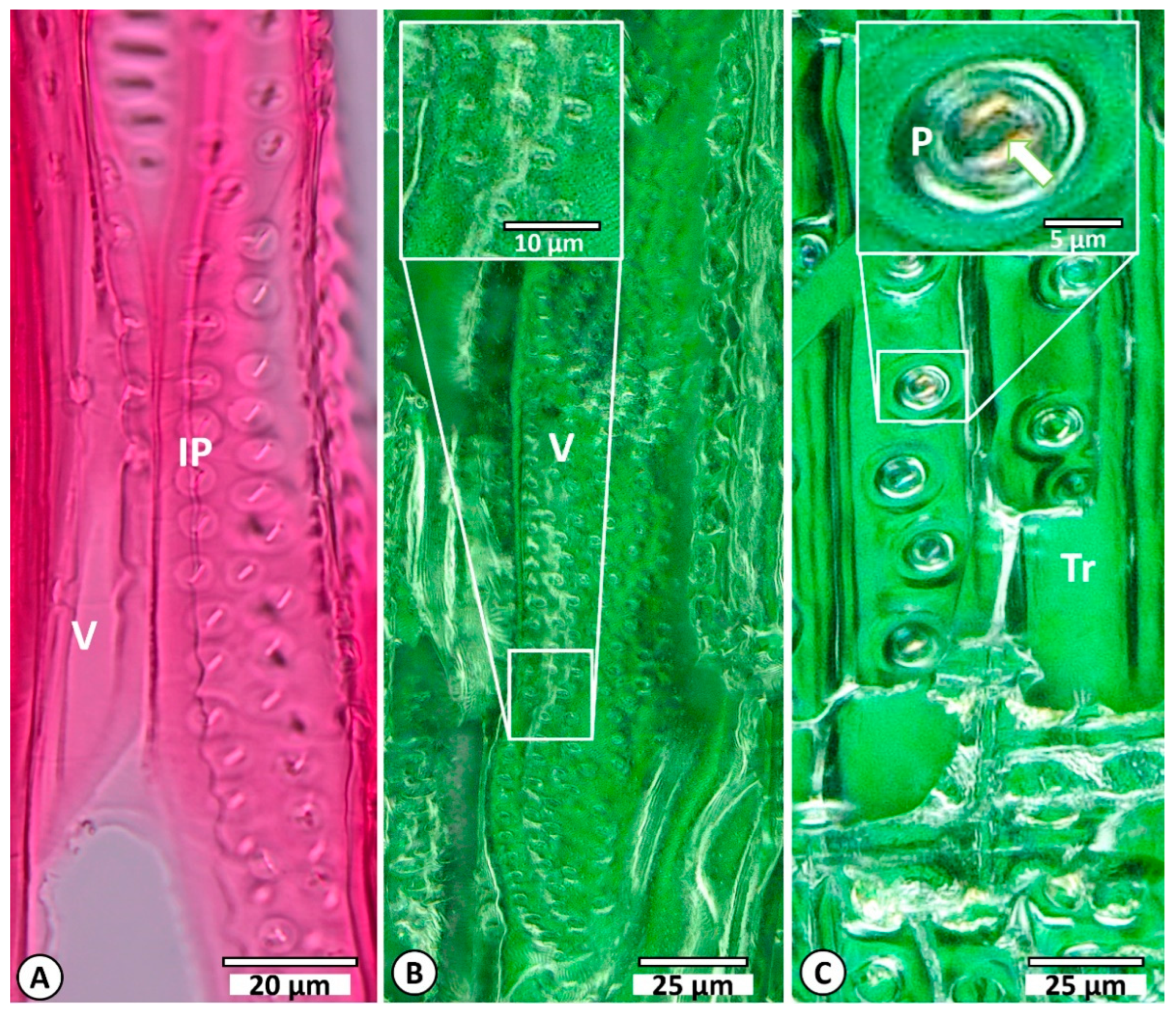 Carbon 10 00077 g009