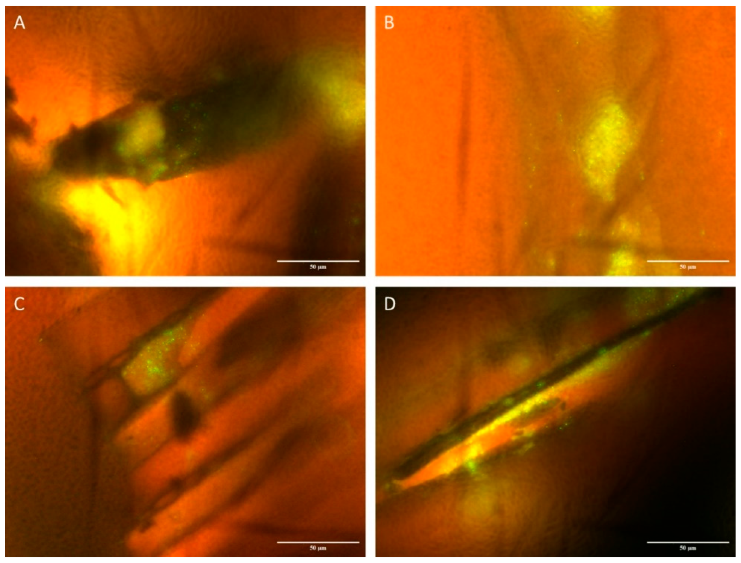 Carbon 10 00077 g012