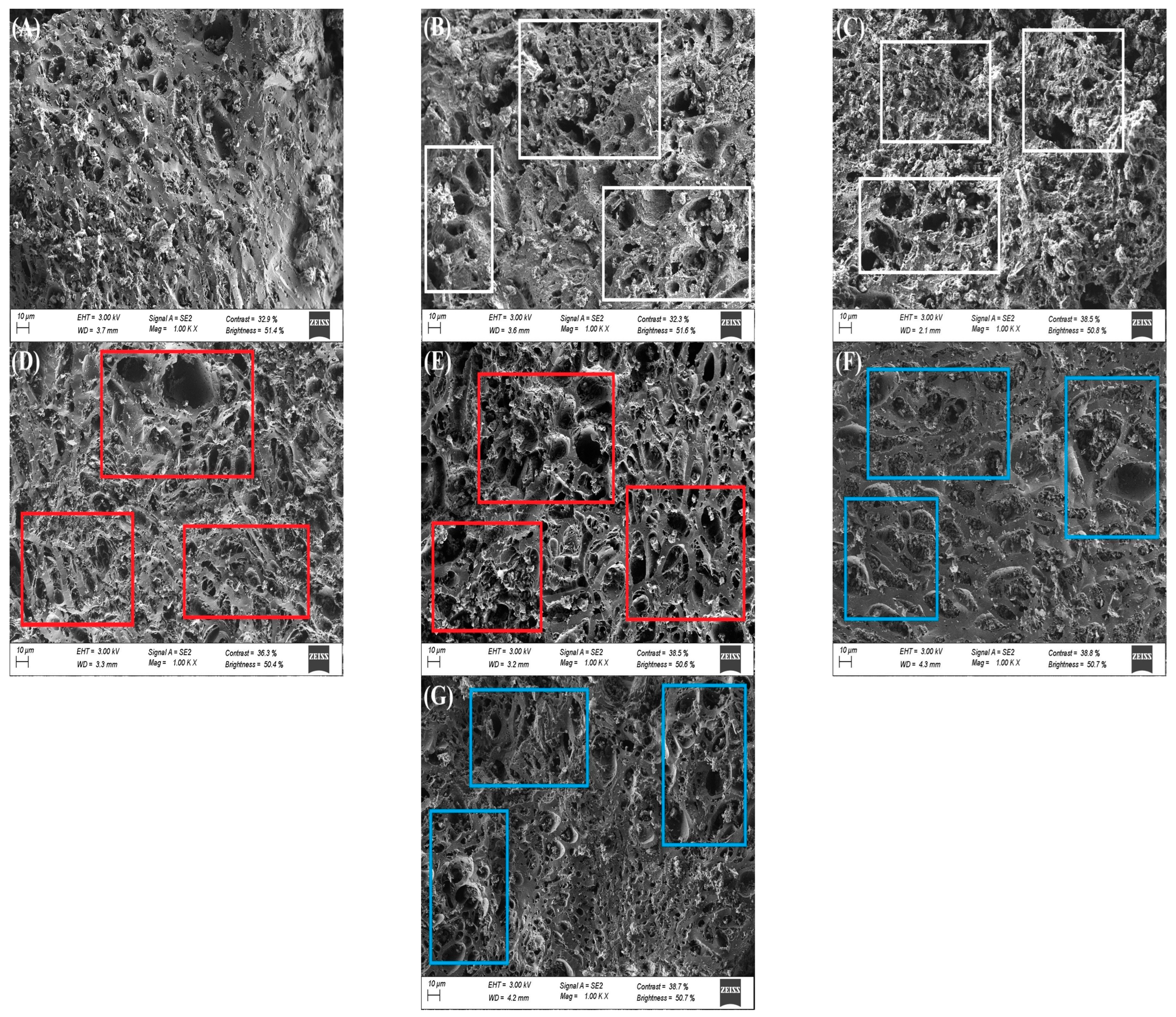 Carbon 11 00002 g002