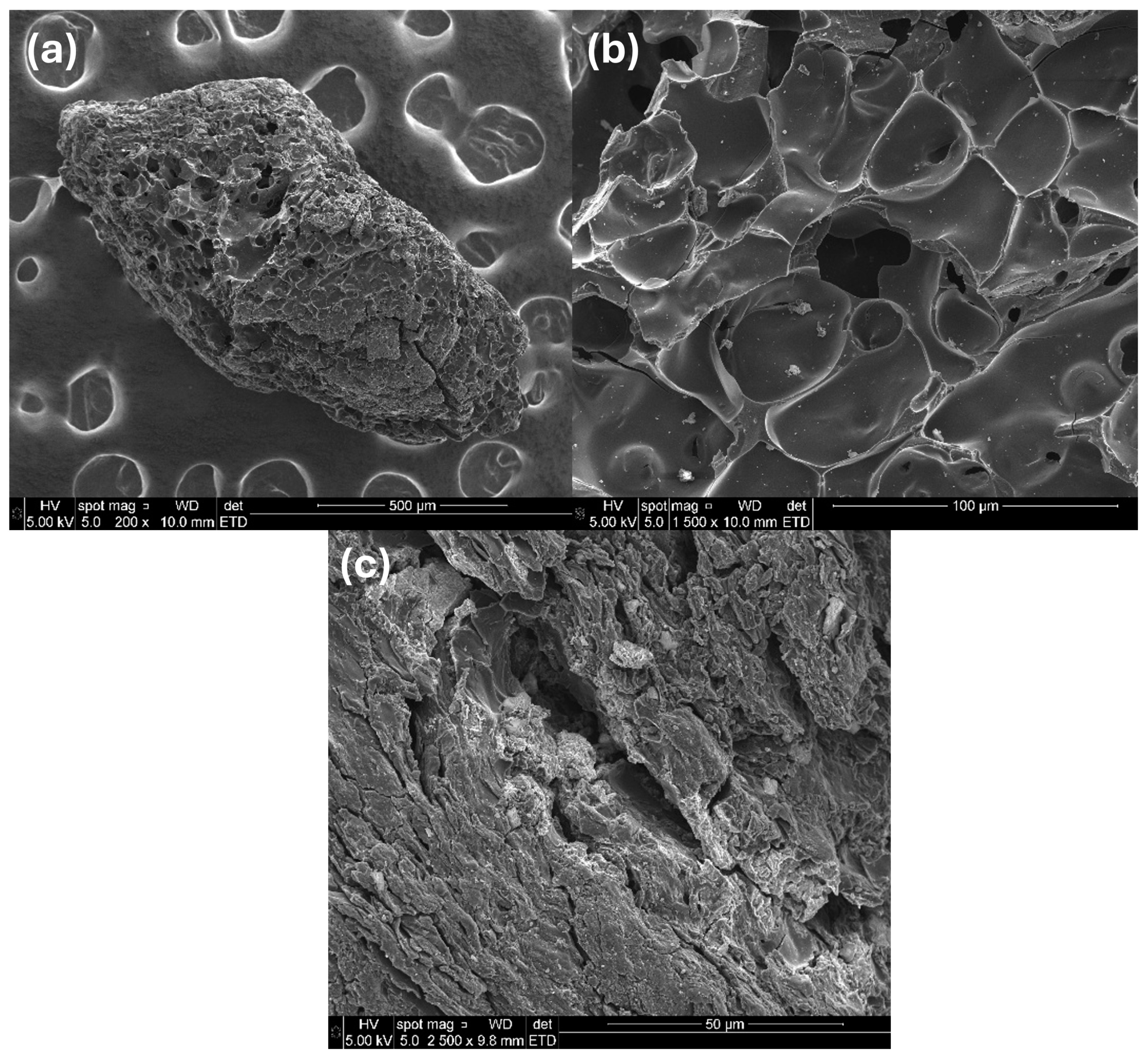 Carbon 11 00019 g006