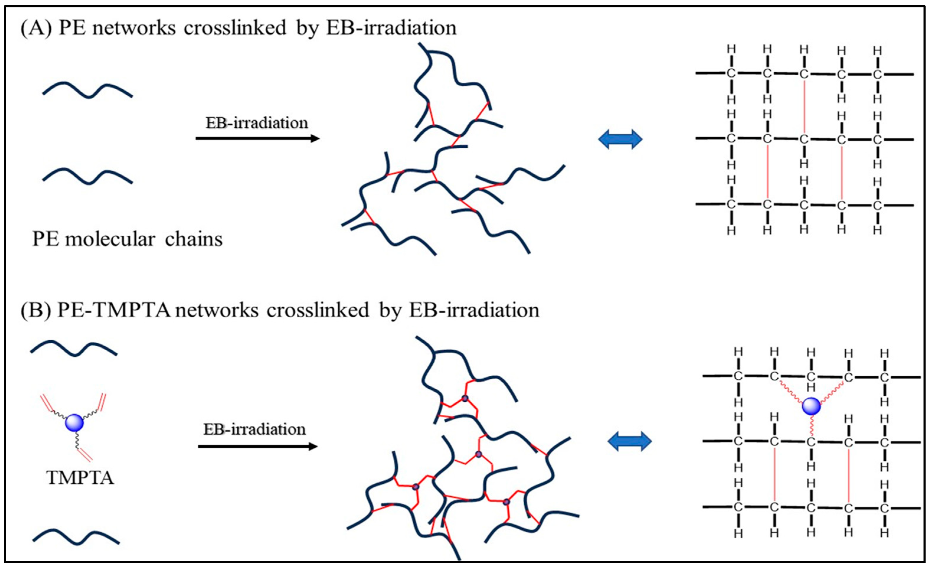 Carbon 11 00031 g003