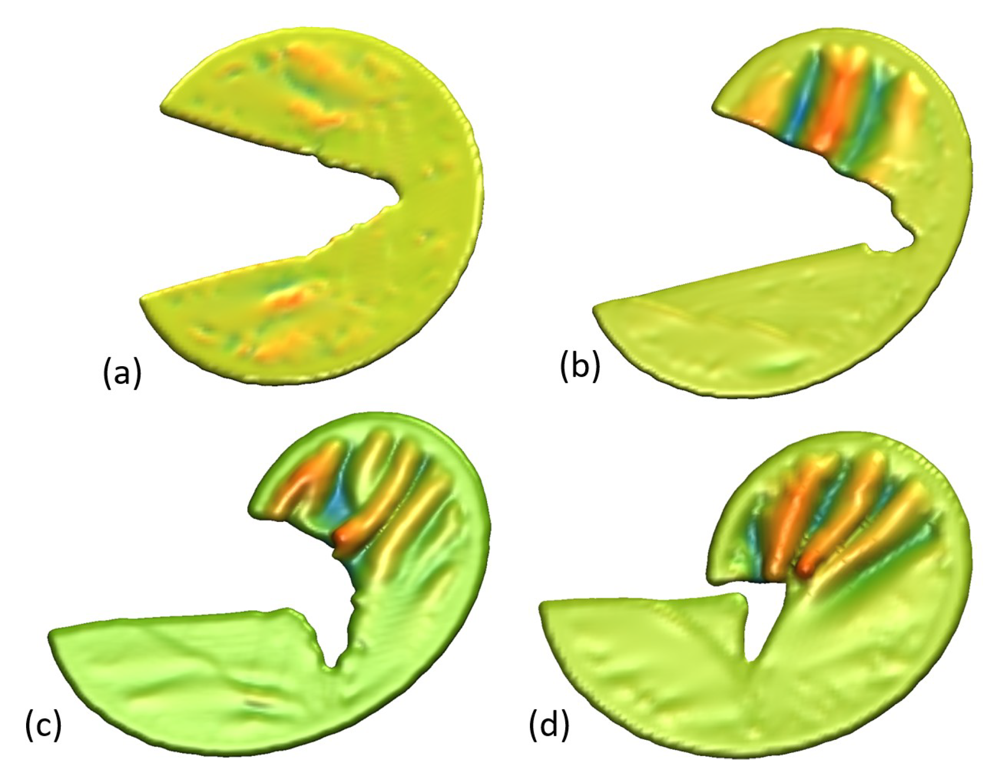 Carbon 11 00040 g011