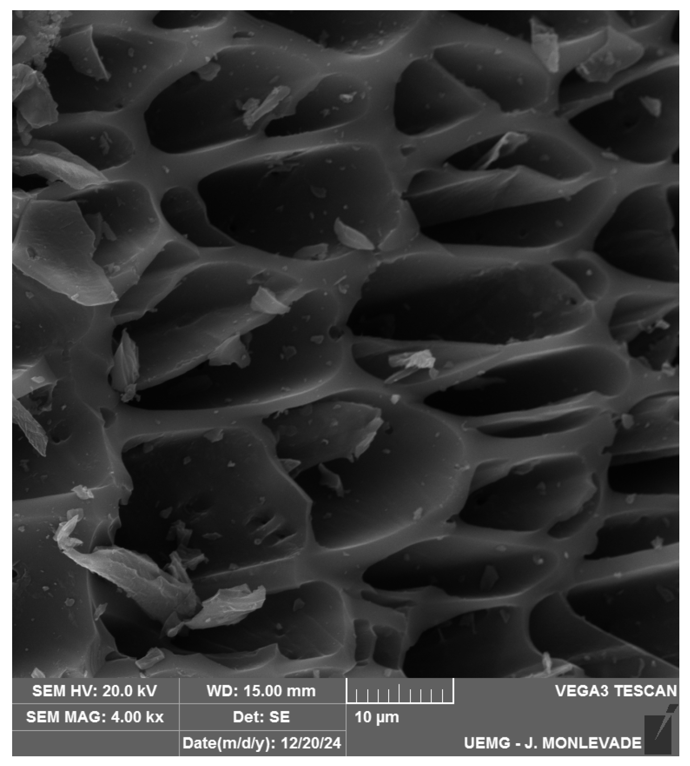 Carbon 11 00045 g002