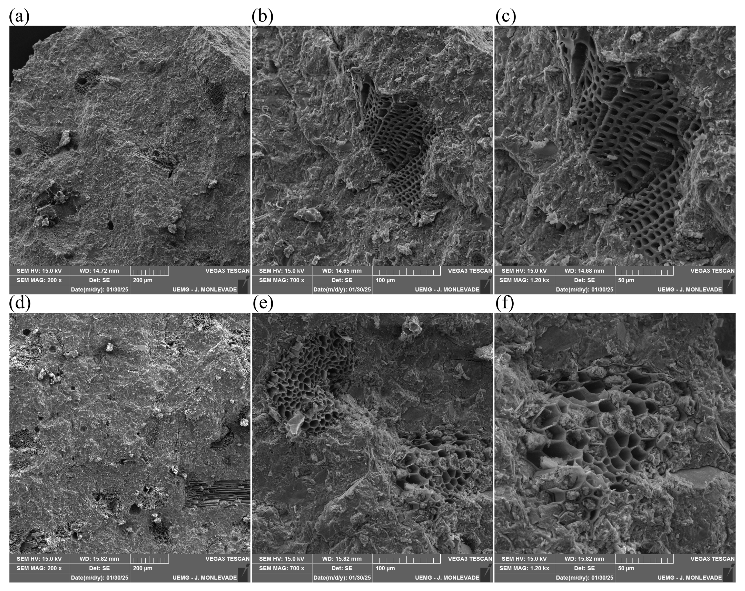 Carbon 11 00045 g006