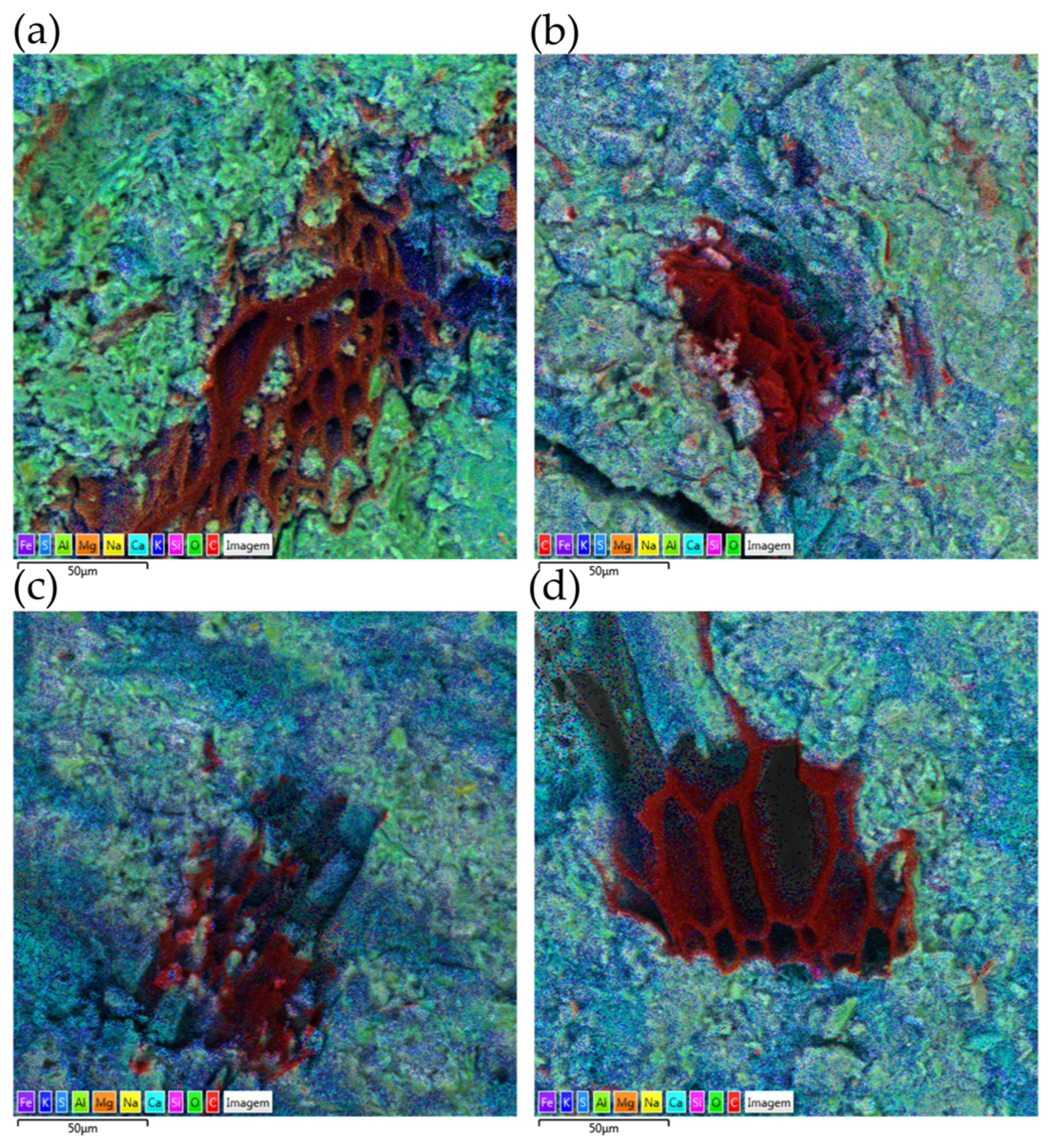 Carbon 11 00045 g008