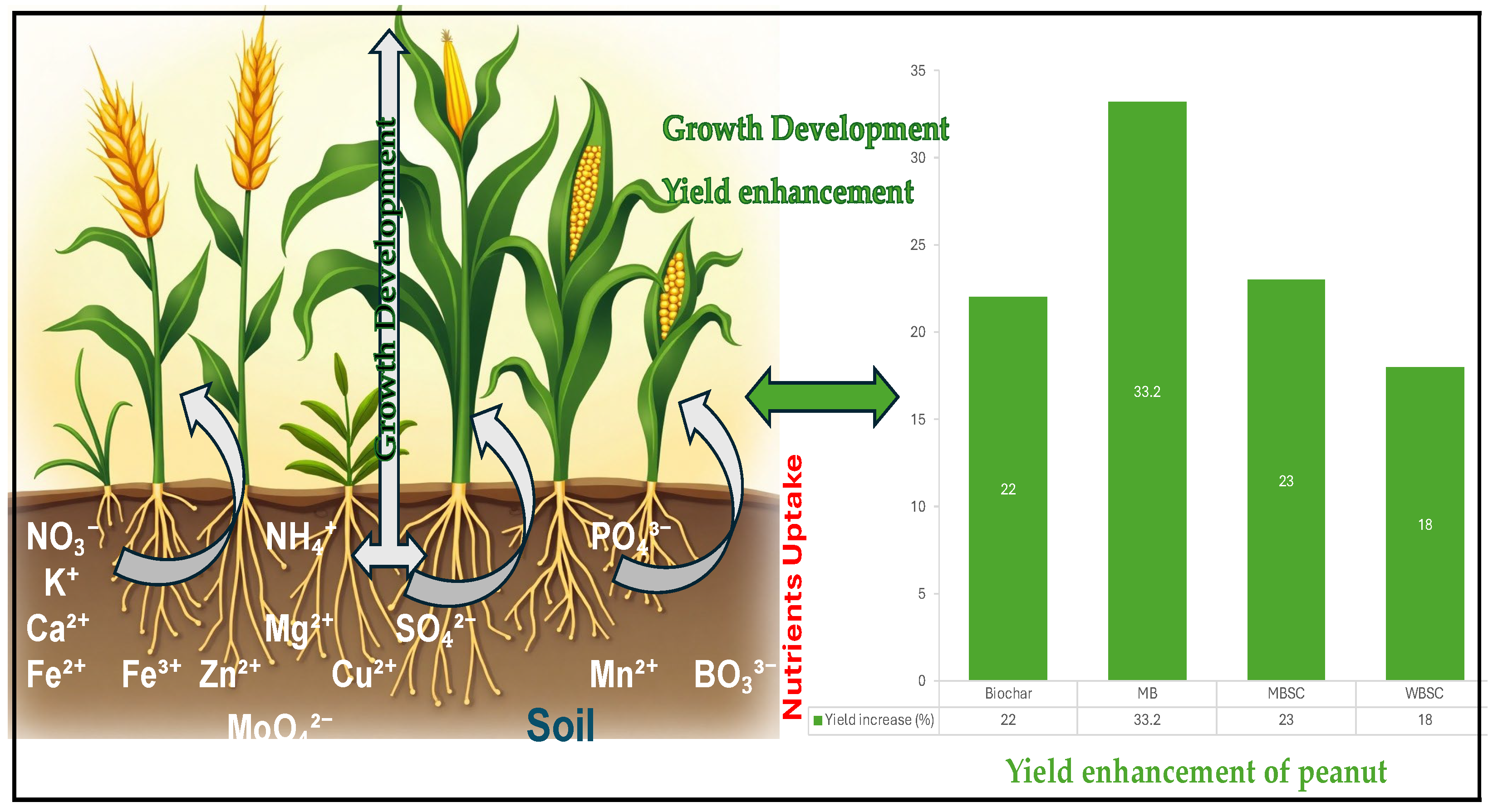 Carbon 11 00050 g003