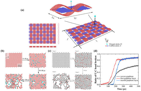 Carbon 11 00067 g001