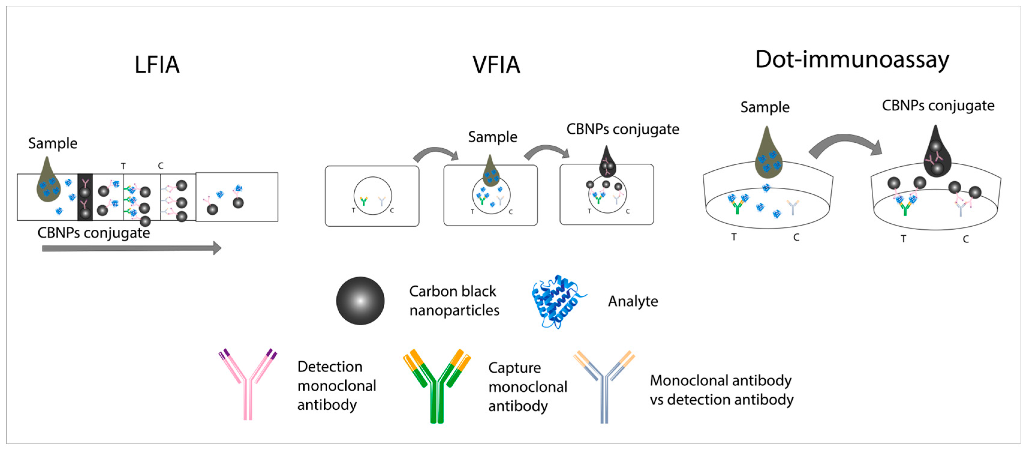Carbon 11 00079 g001
