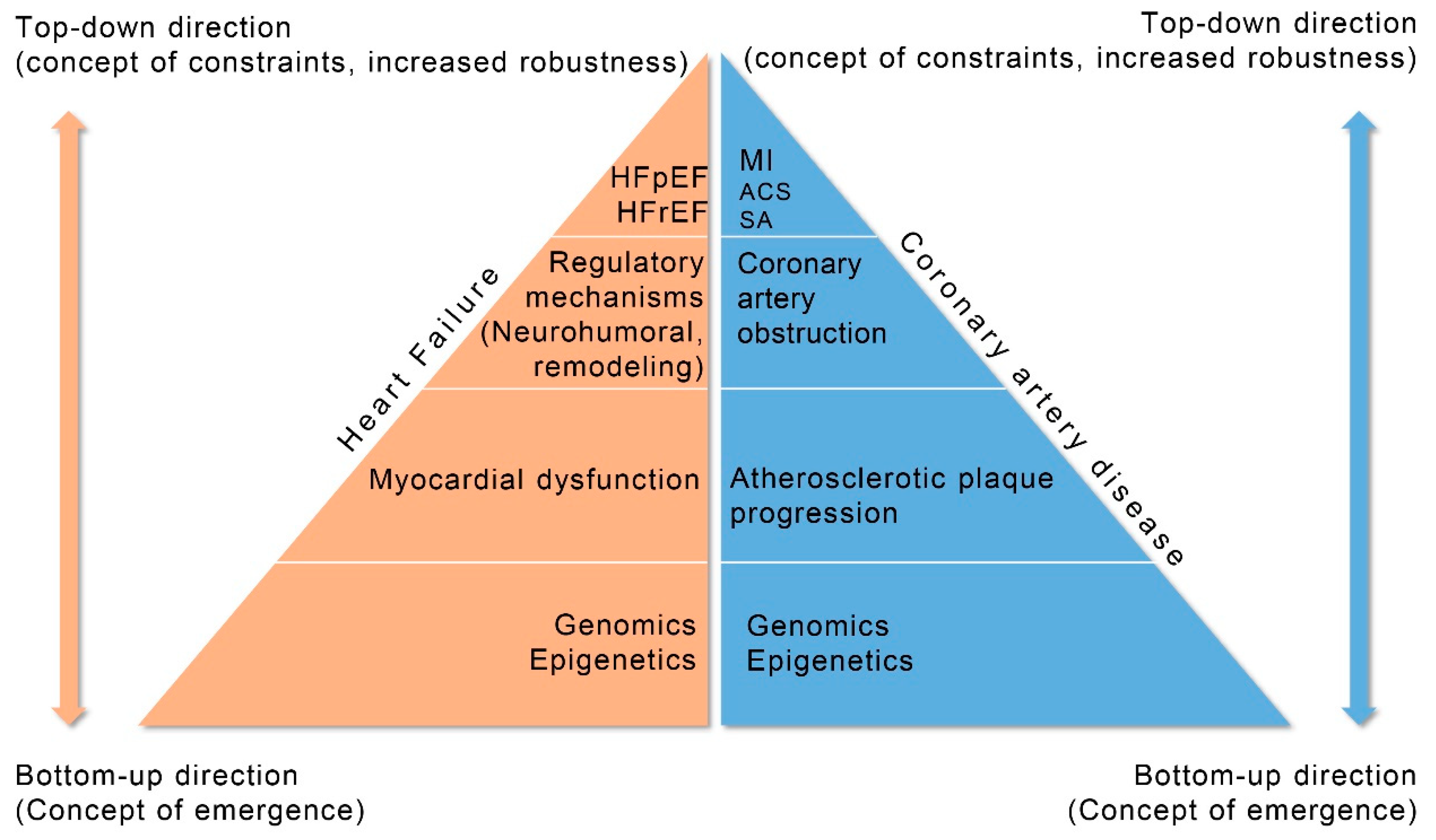 Cardiogenetics 11 00007 g004