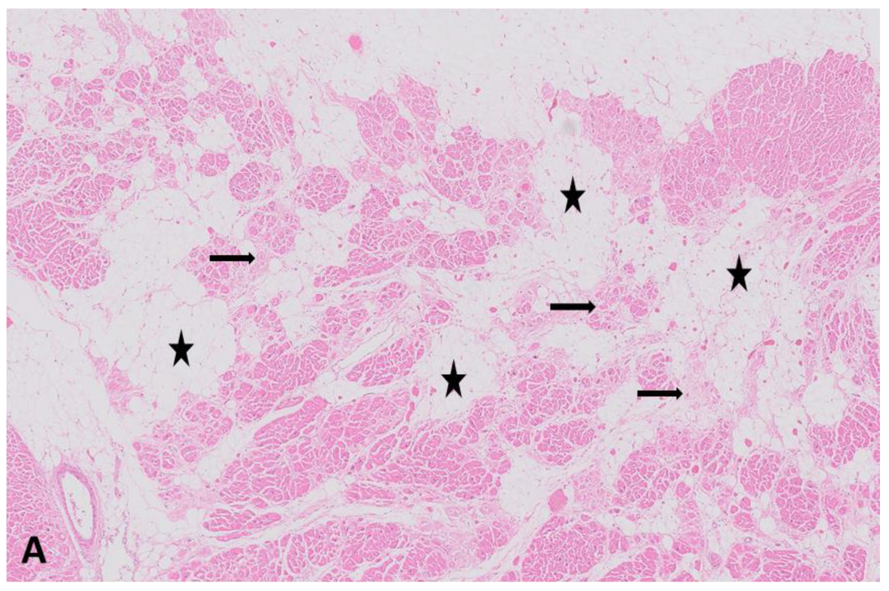 Cardiogenetics 11 00008 g002a