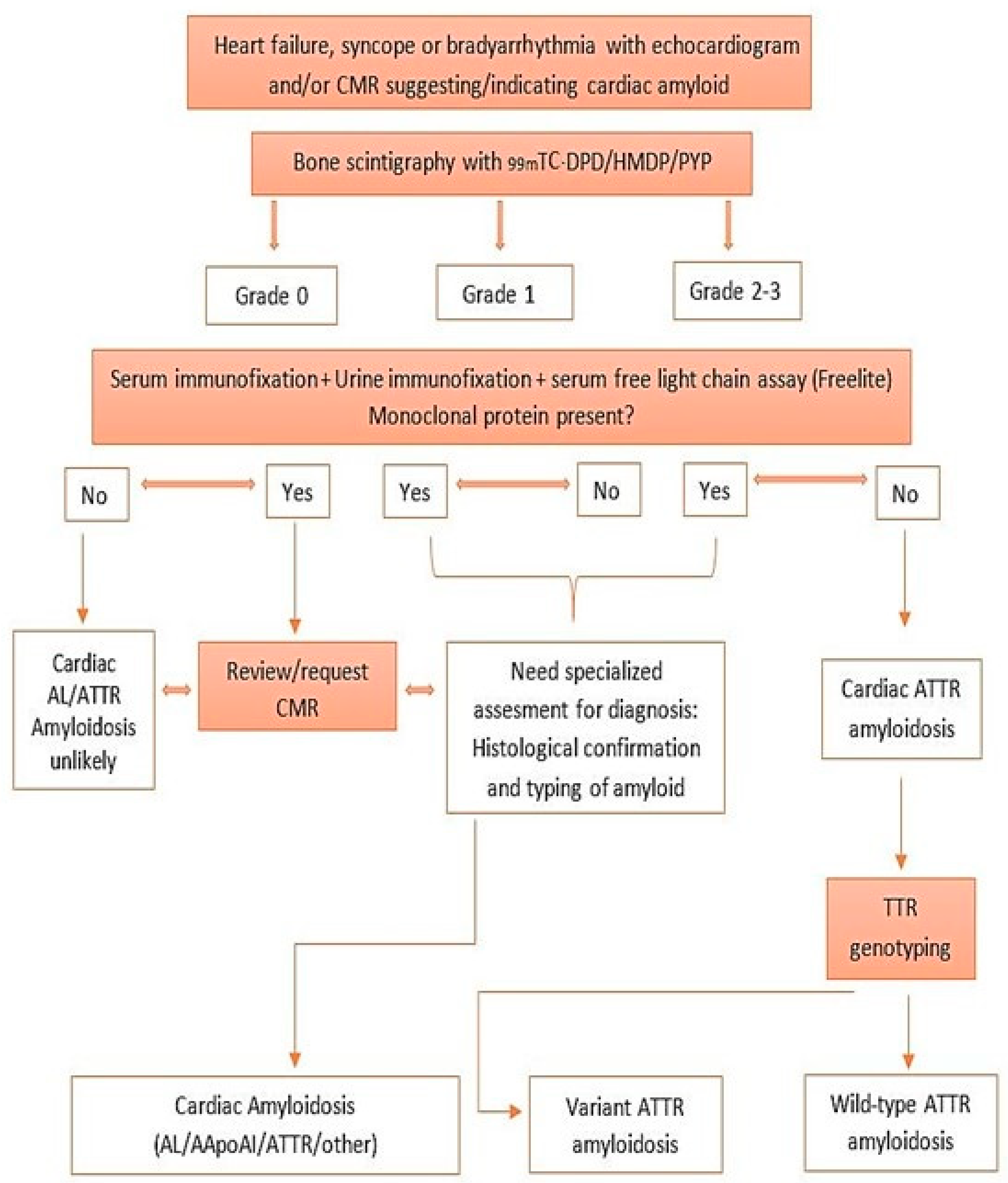 Cardiogenetics 11 00012 g006