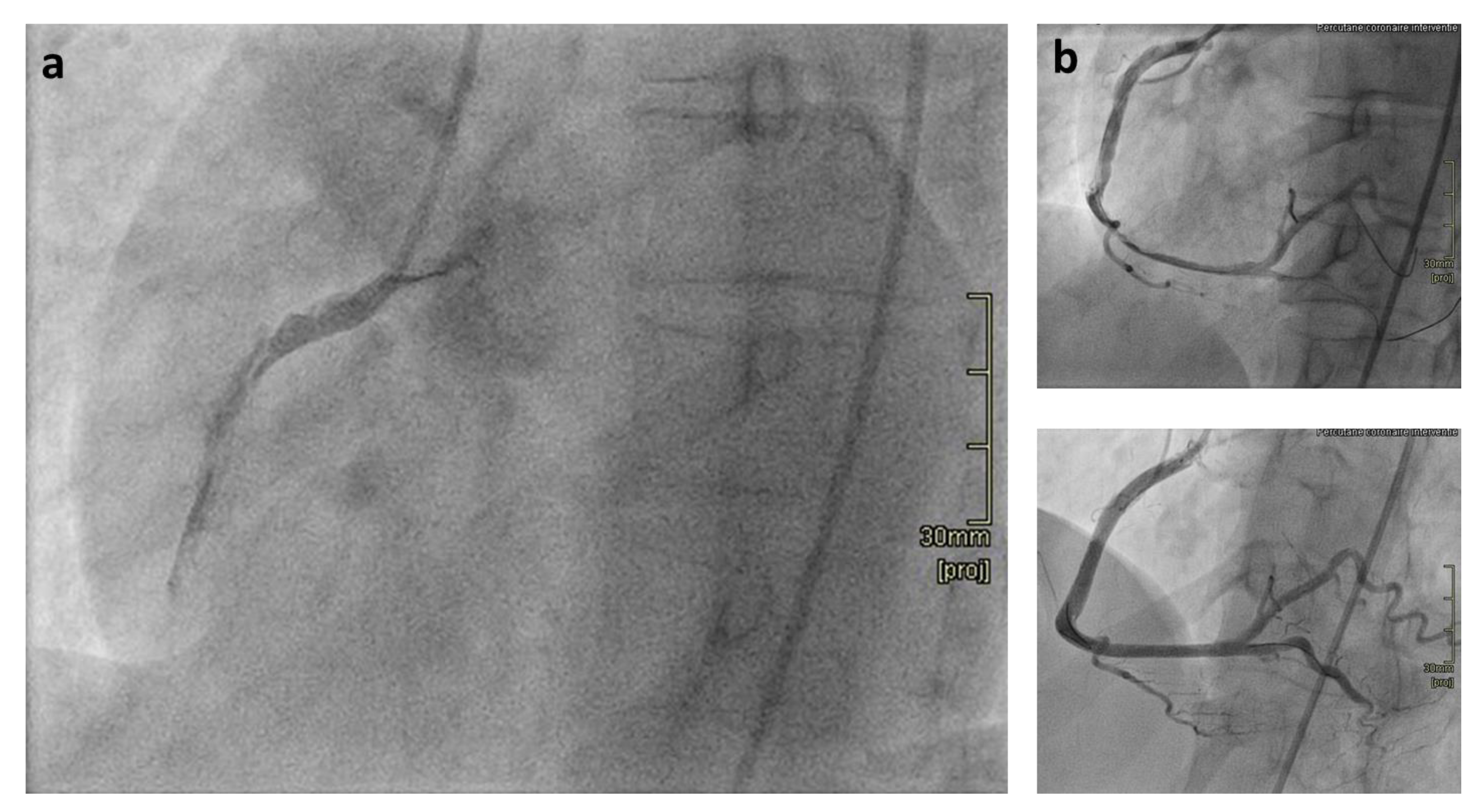 Cardiogenetics 11 00014 g001