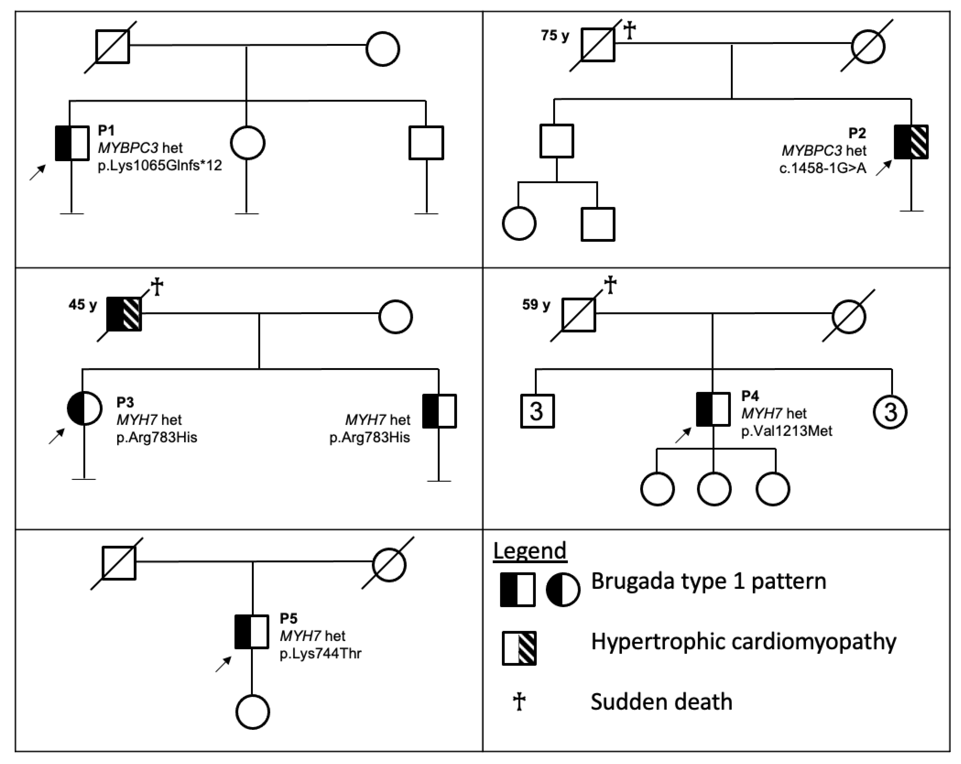 Cardiogenetics 11 00016 g001