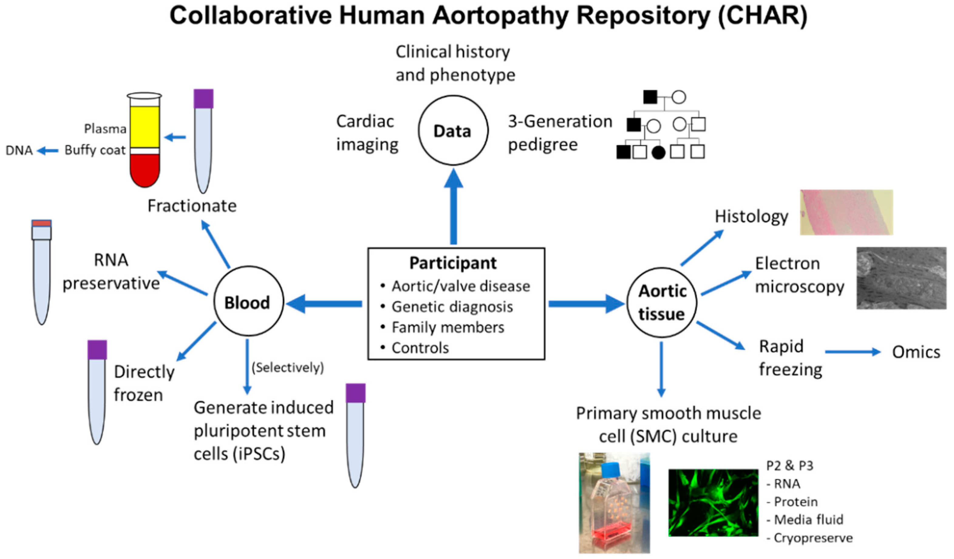 Cardiogenetics 11 00017 g001 Cardiogenetics 11 00017 g001