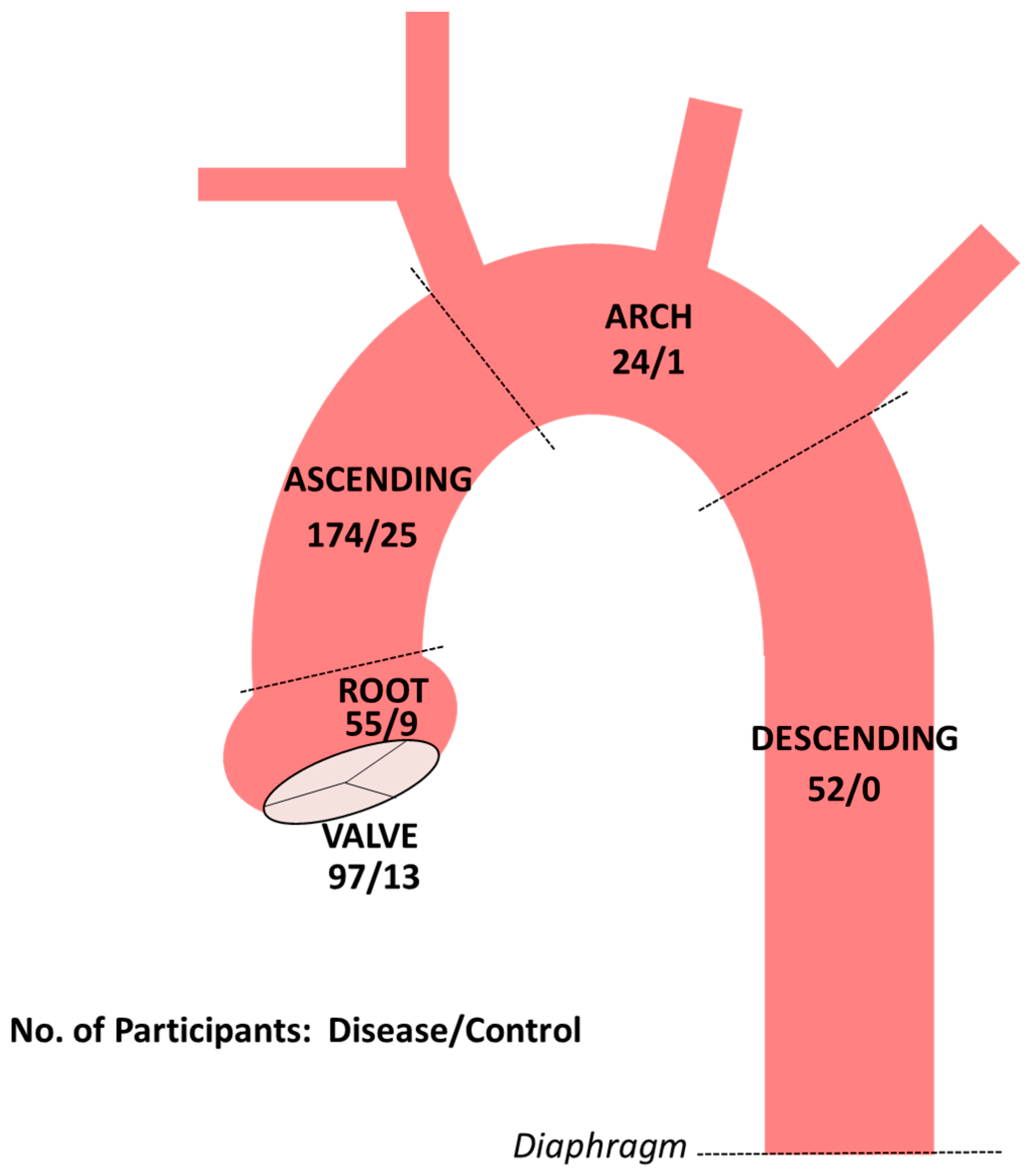 Cardiogenetics 11 00017 g002 Cardiogenetics 11 00017 g002