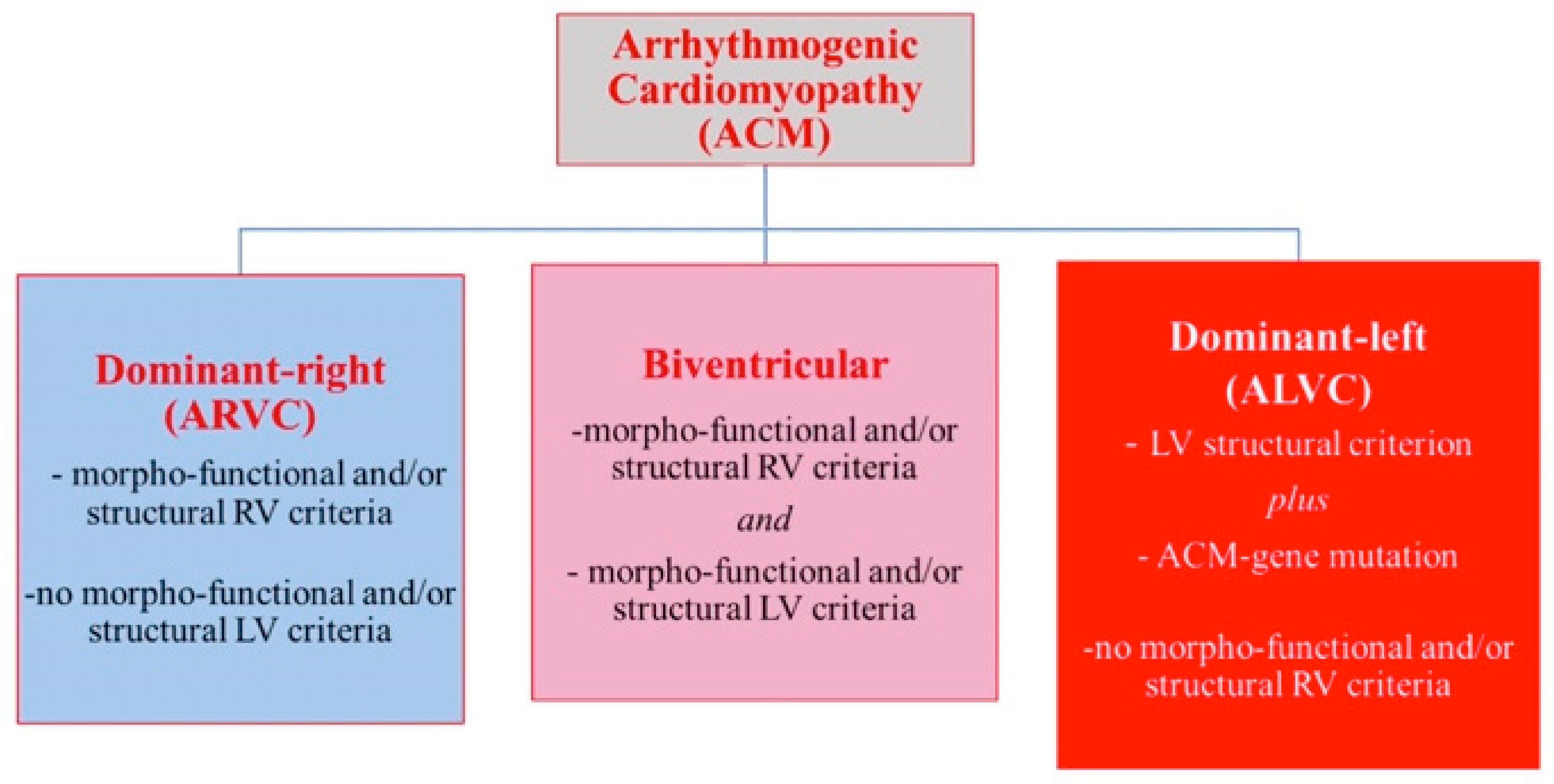 Cardiogenetics 11 00025 g004 Cardiogenetics 11 00025 g004