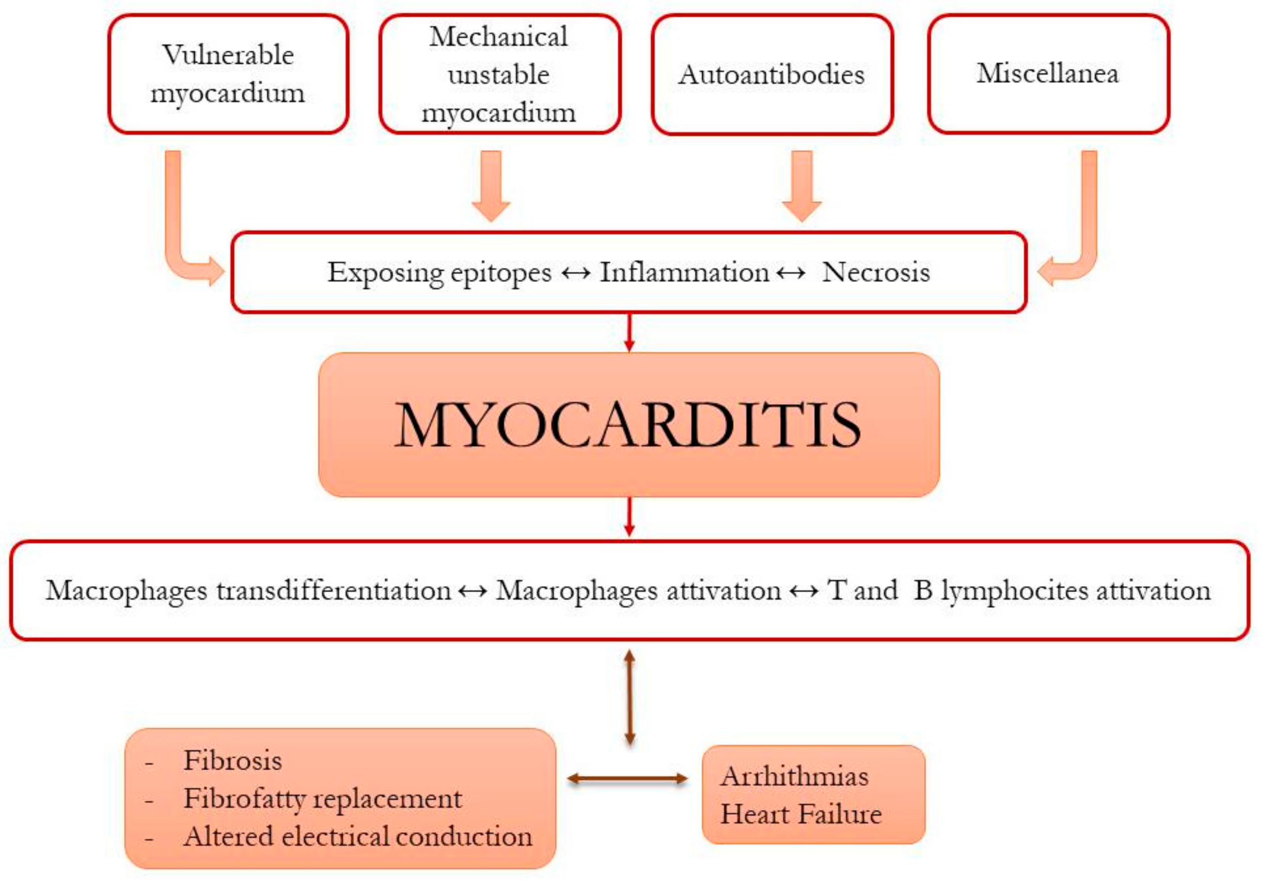 Cardiogenetics 11 00025 g005 Cardiogenetics 11 00025 g005