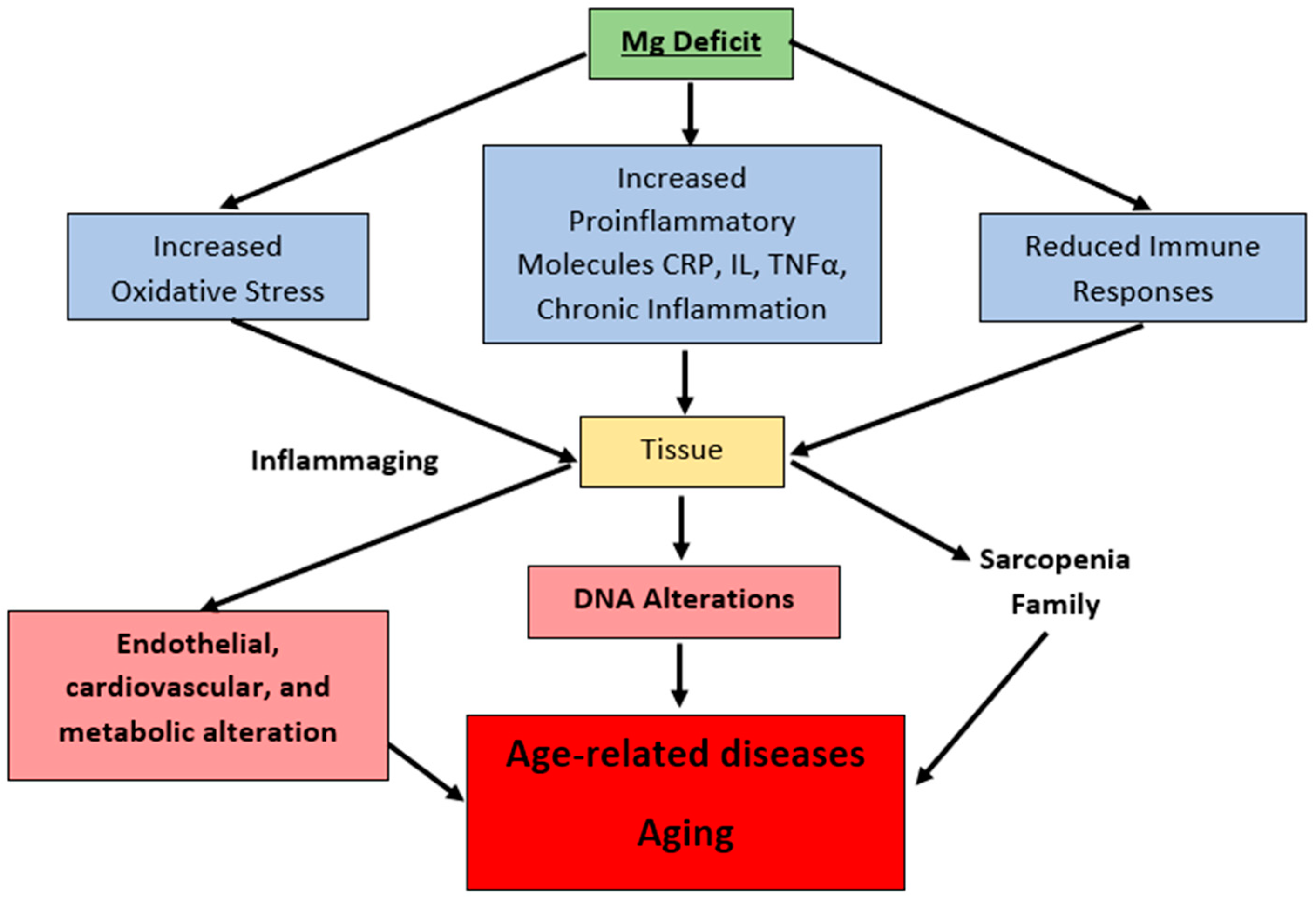 Cardiogenetics 12 00005 g007