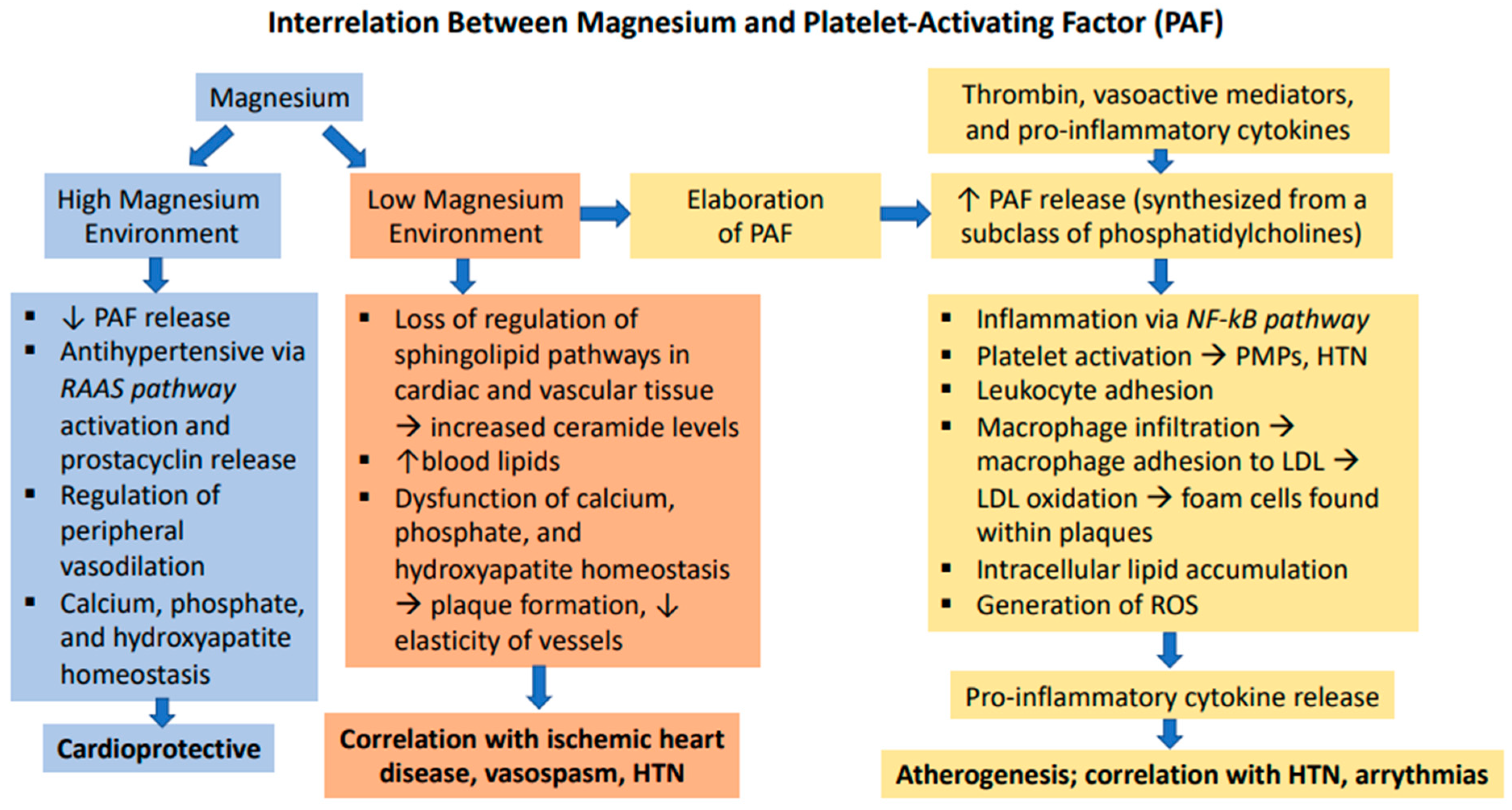 Cardiogenetics 12 00005 g008