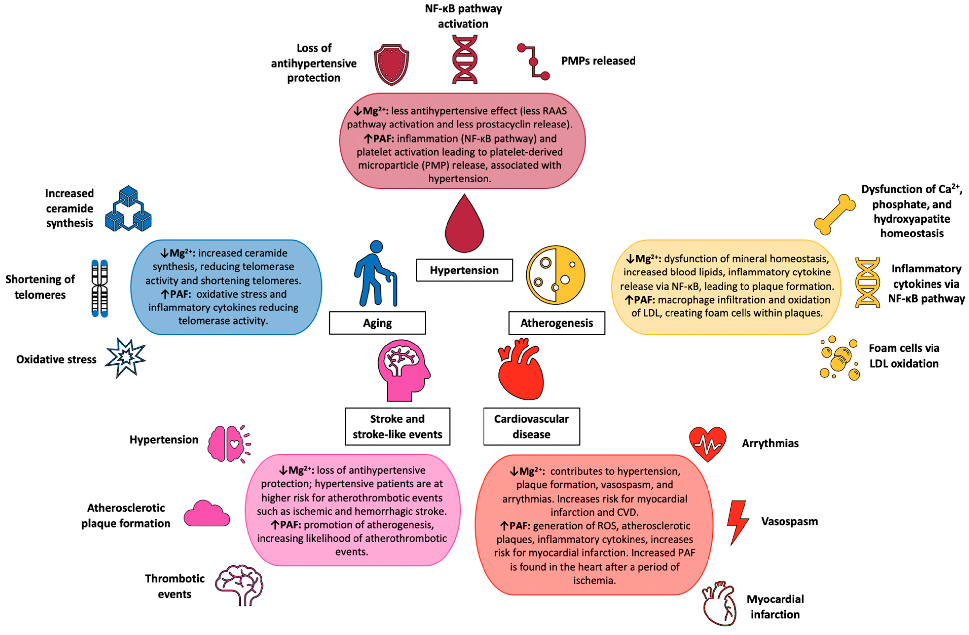 Cardiogenetics 12 00005 g009