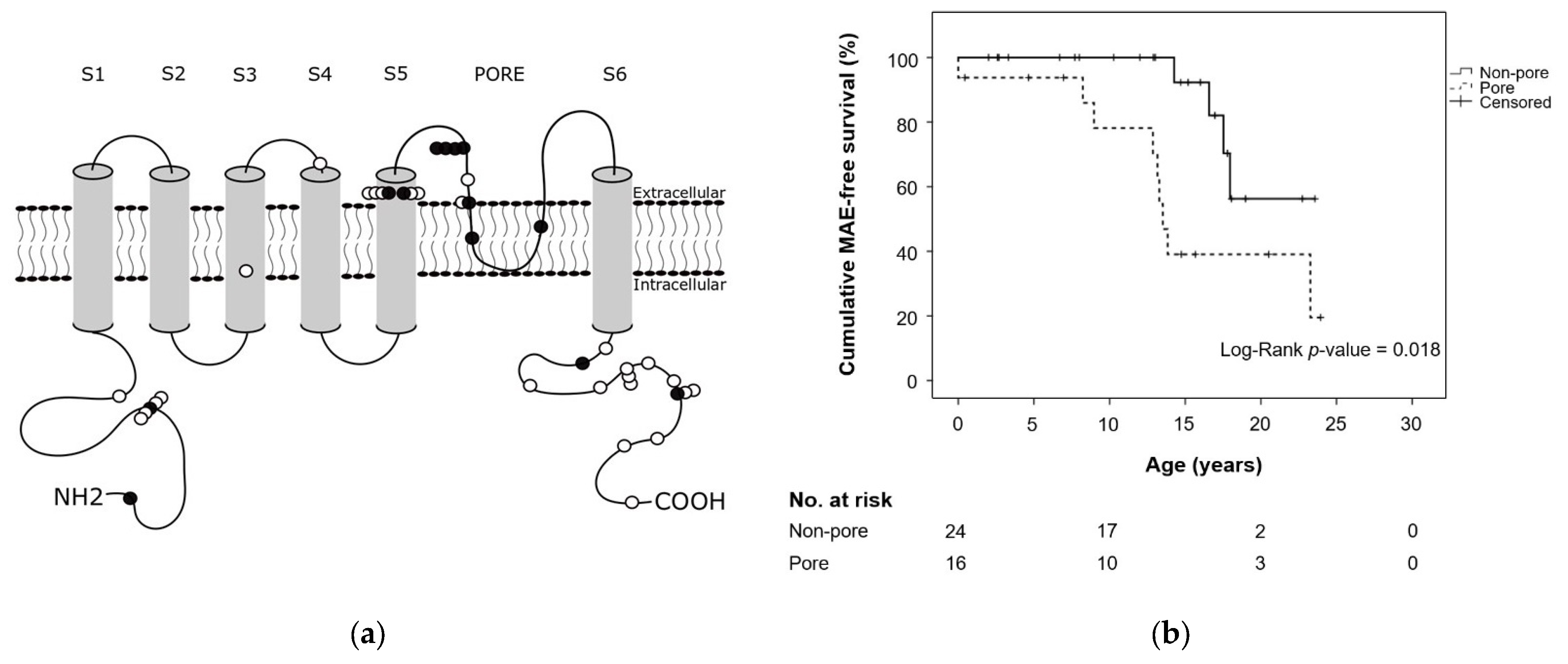 Cardiogenetics 12 00009 g001