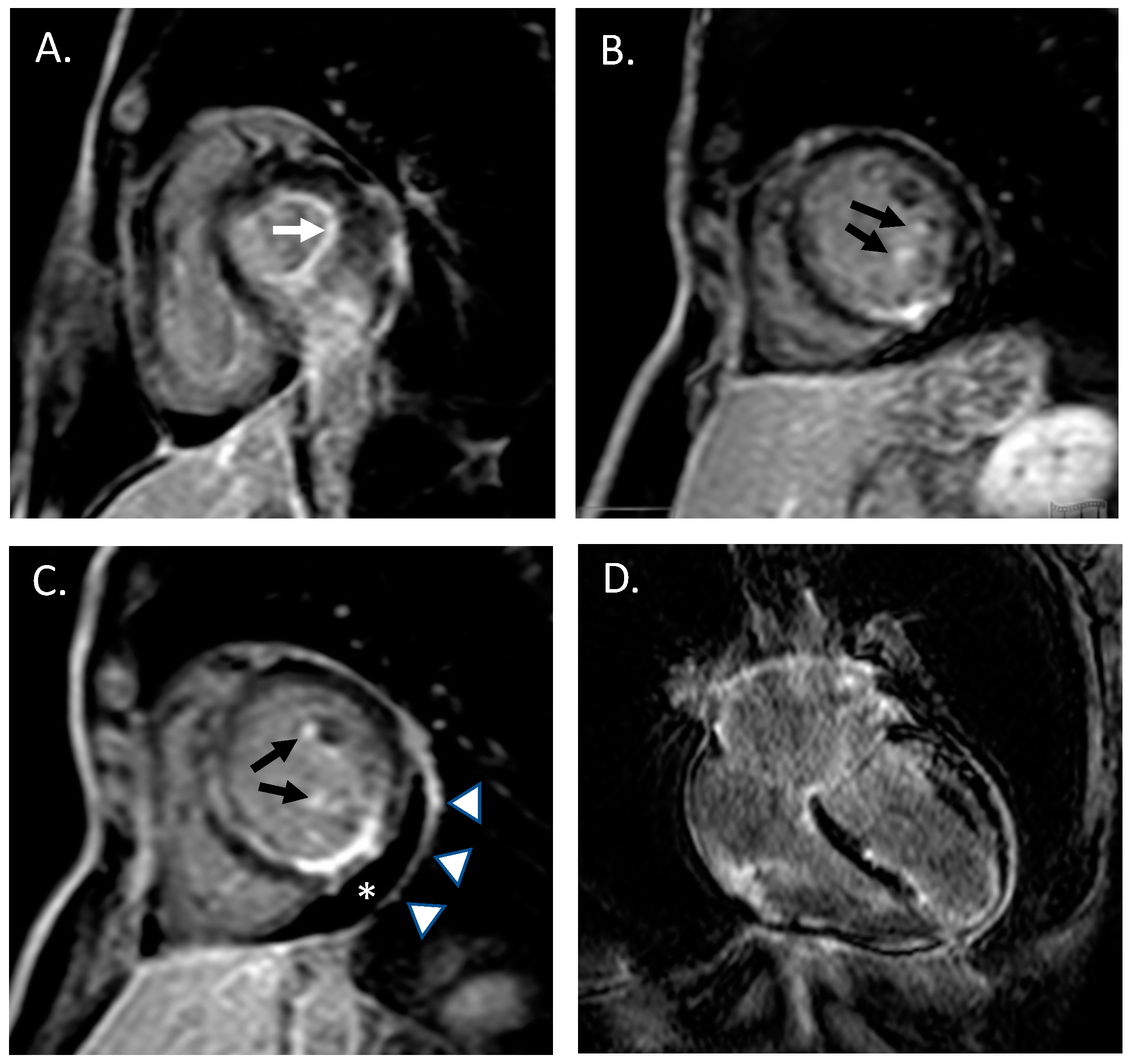 Cardiogenetics 12 00014 g001