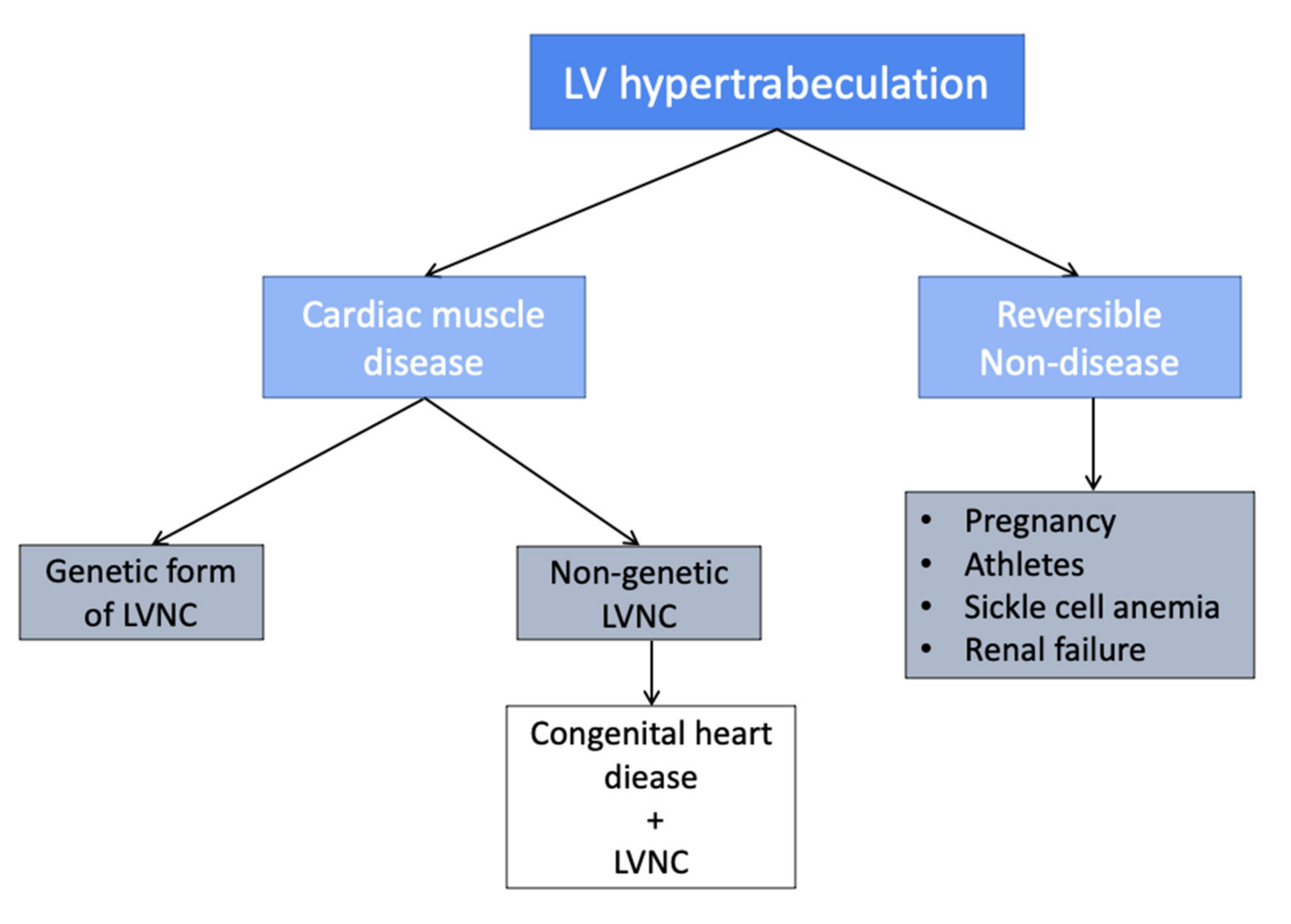 Cardiogenetics 12 00016 g001 Cardiogenetics 12 00016 g001