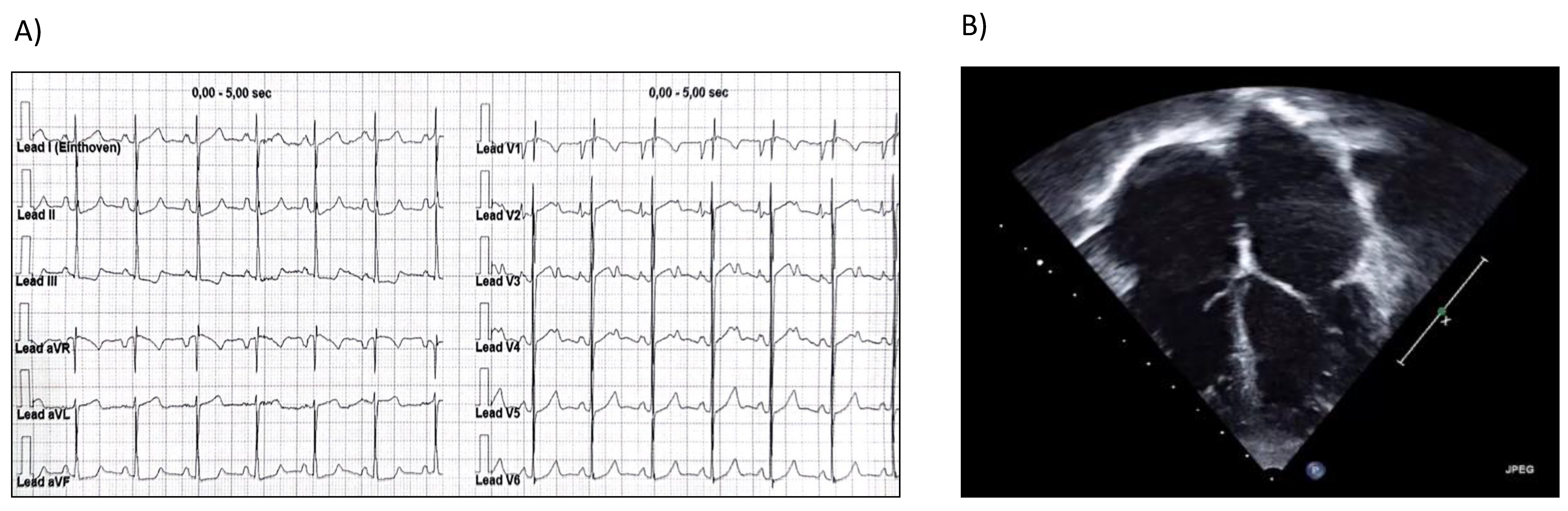 Cardiogenetics 12 00019 g001