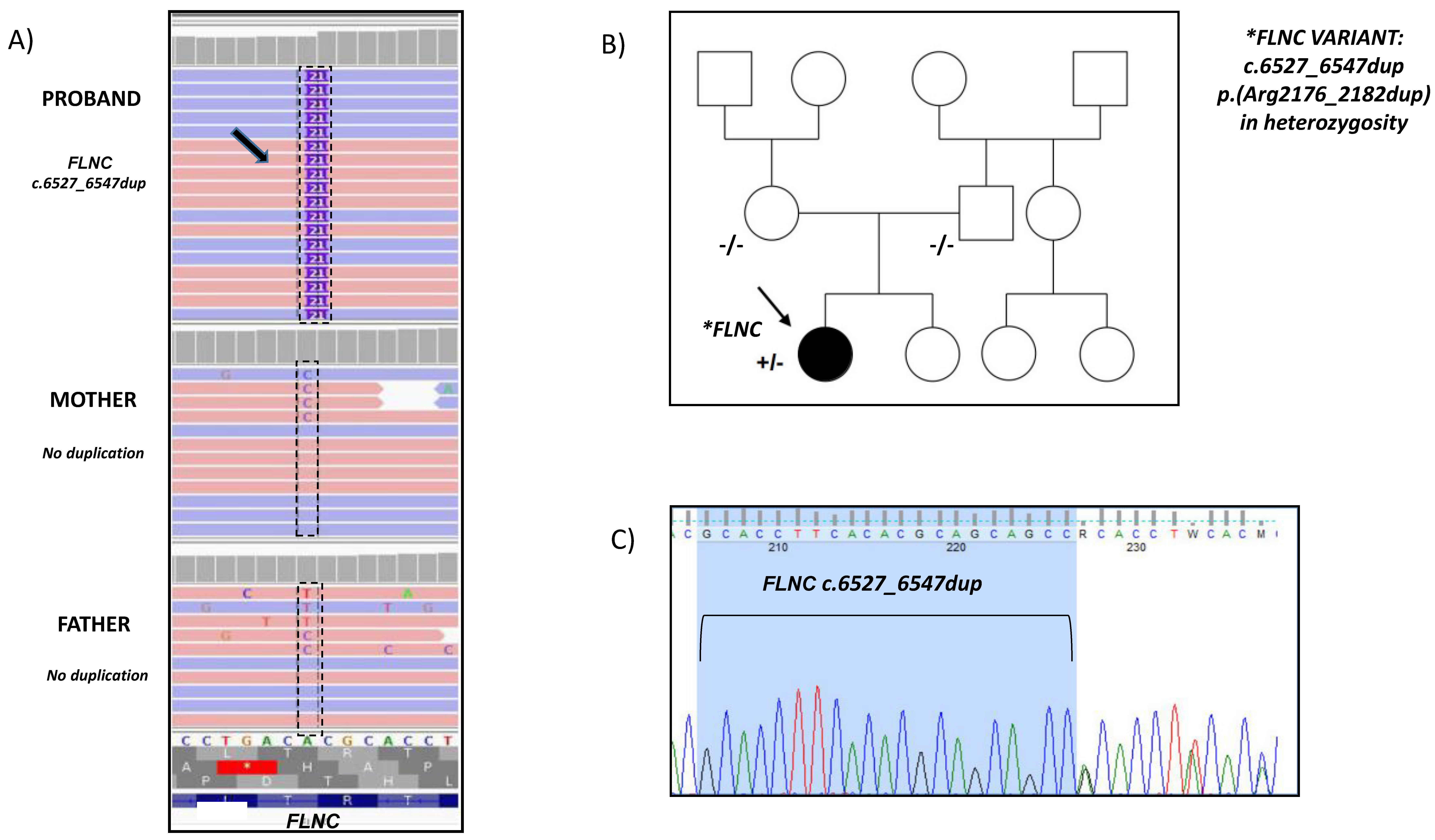 Cardiogenetics 12 00019 g002