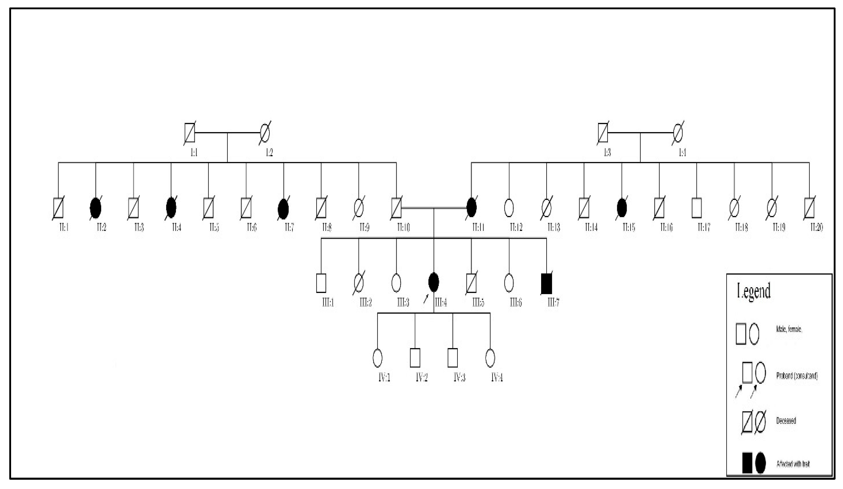 Cardiogenetics 12 00020 g004 Cardiogenetics 12 00020 g004