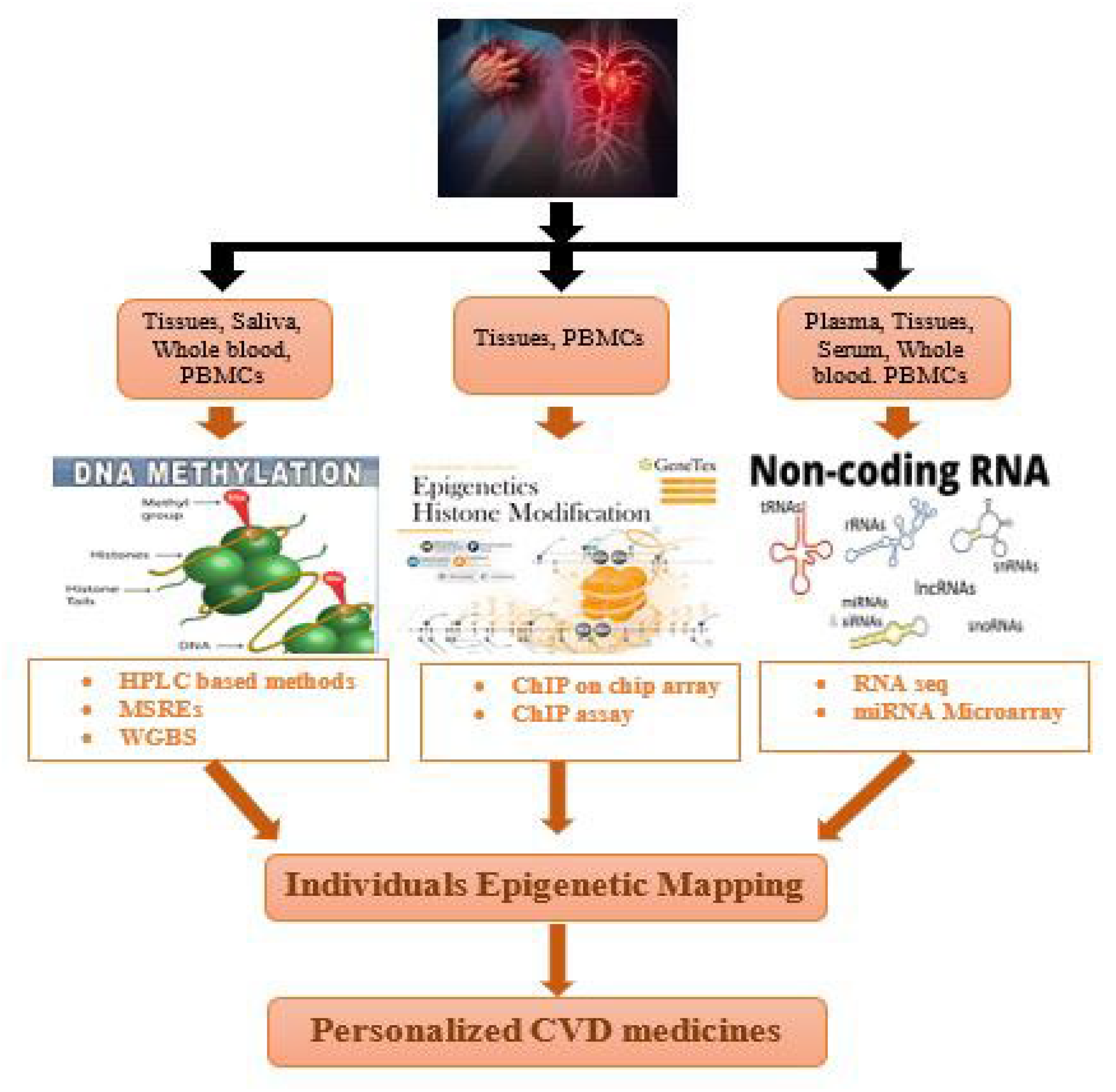 Cardiogenetics 12 00021 g003