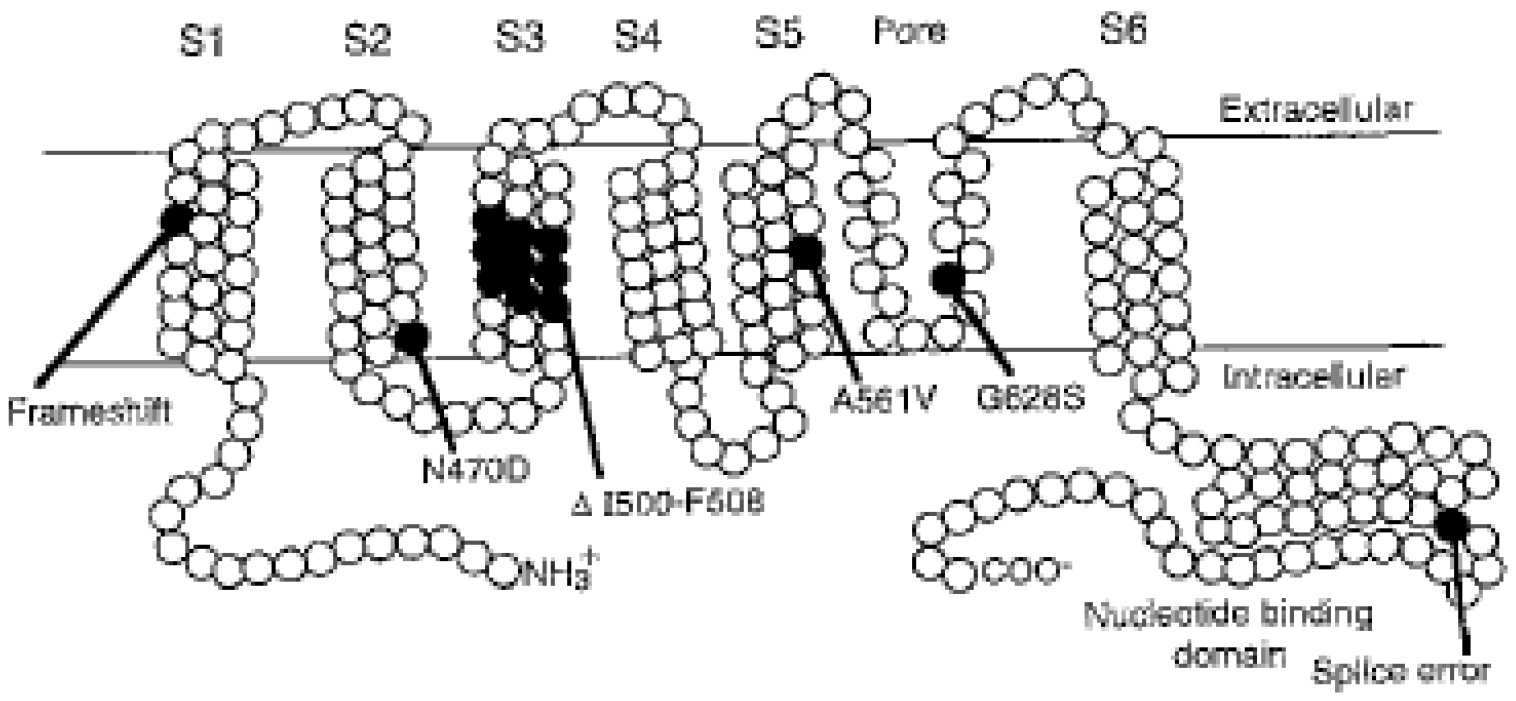 Cardiogenetics 12 00025 g001