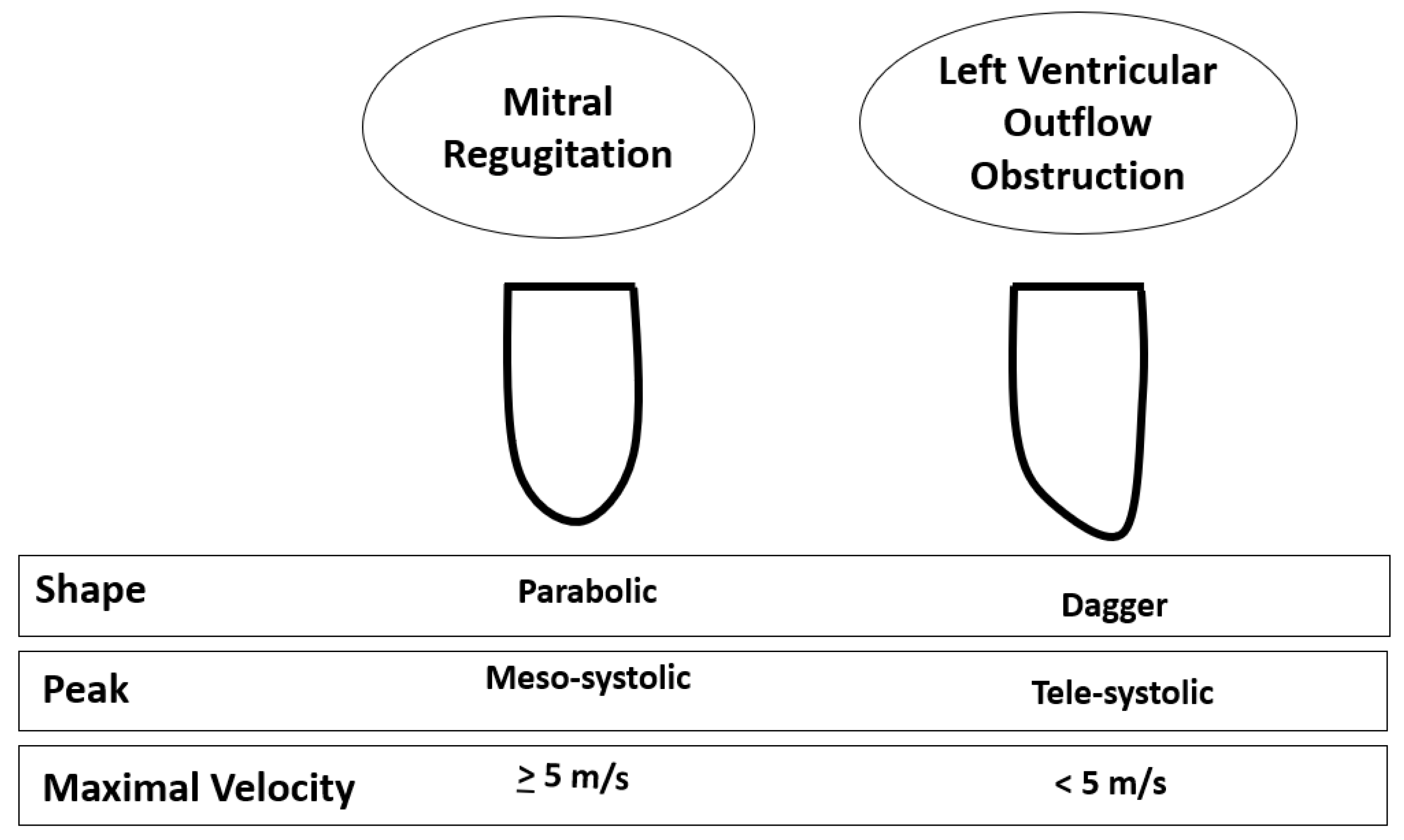 Cardiogenetics 13 00008 g010 Cardiogenetics 13 00008 g010