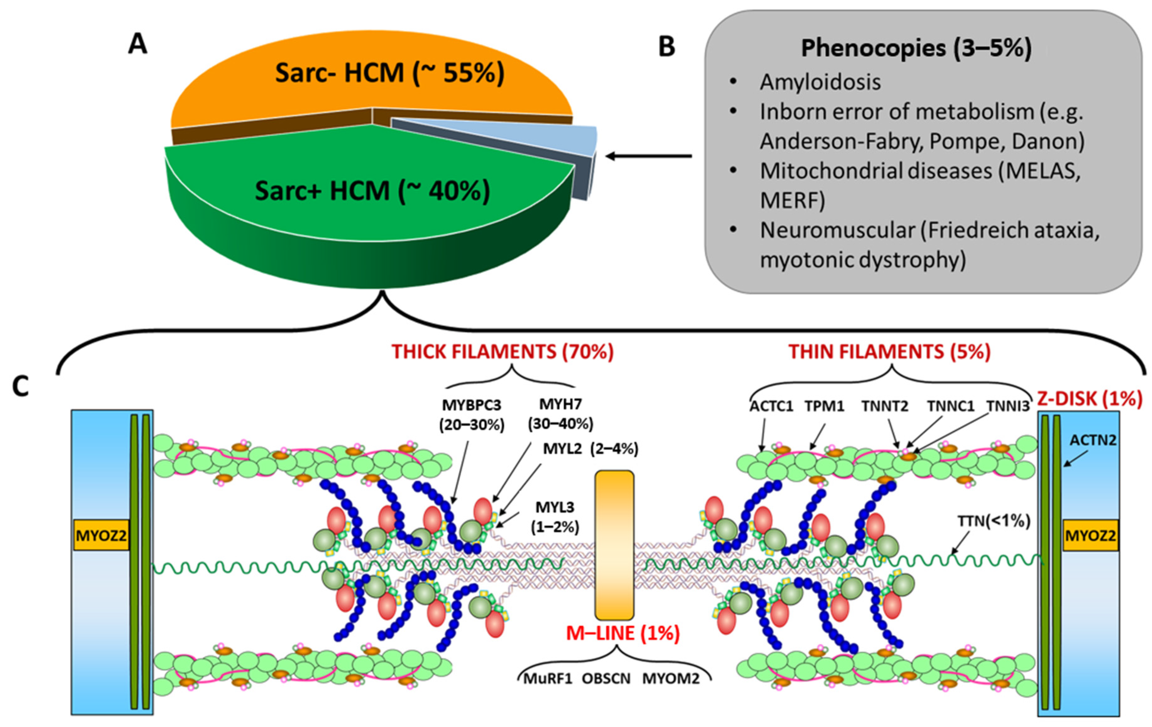Cardiogenetics 13 00009 g001