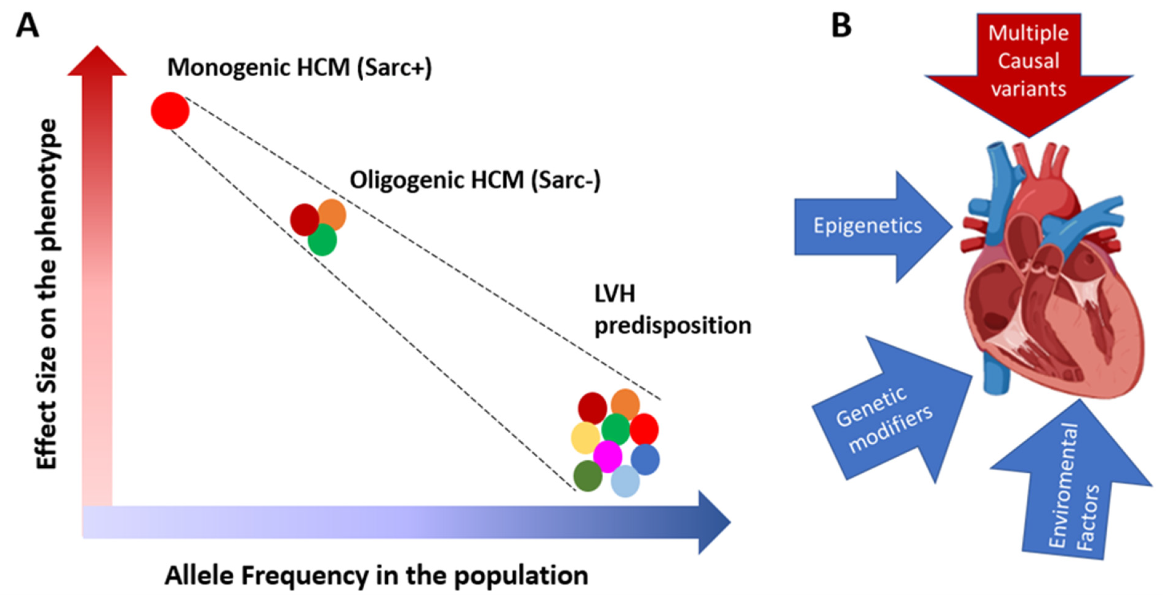 Cardiogenetics 13 00009 g002