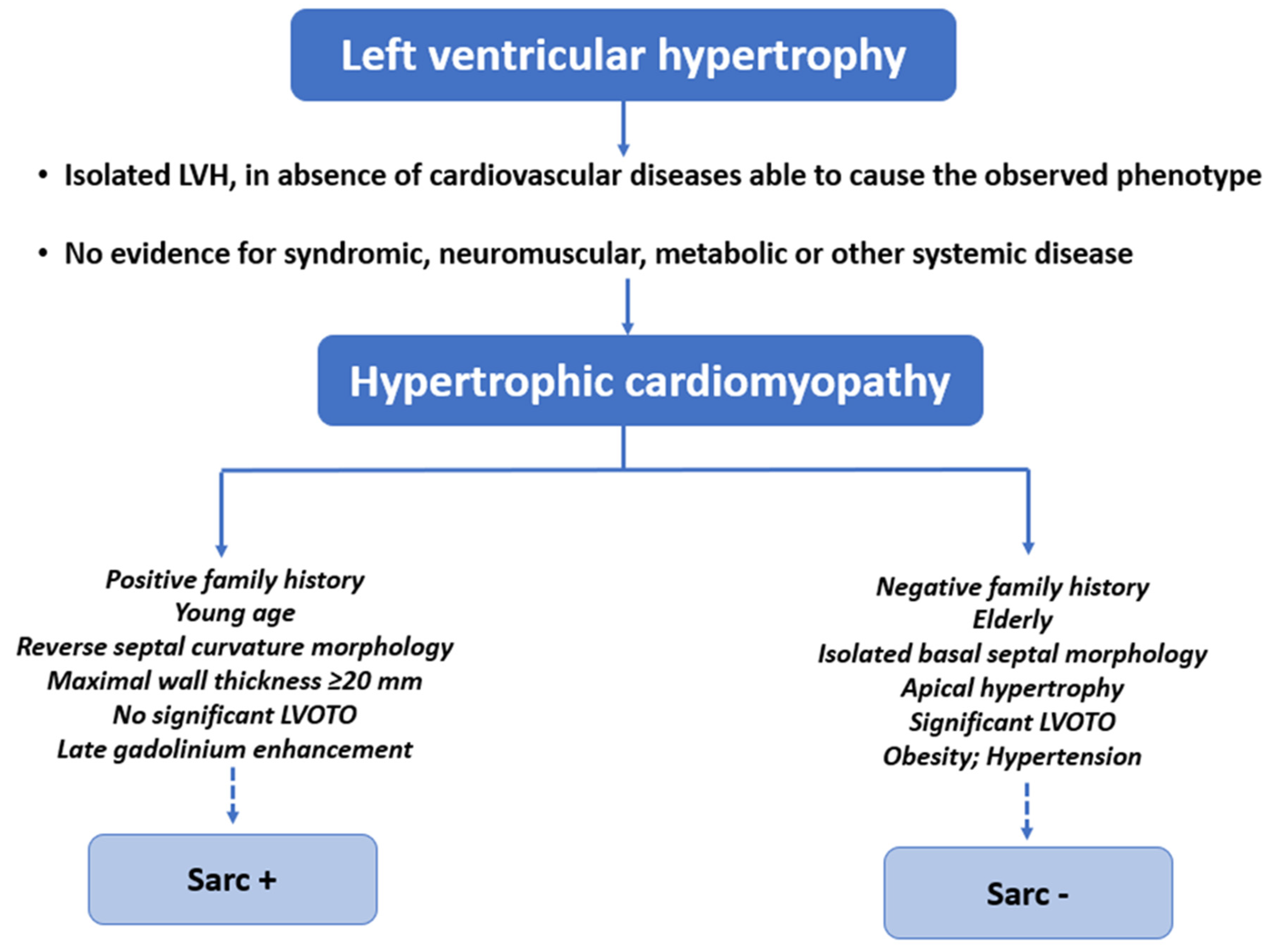 Cardiogenetics 13 00009 g003