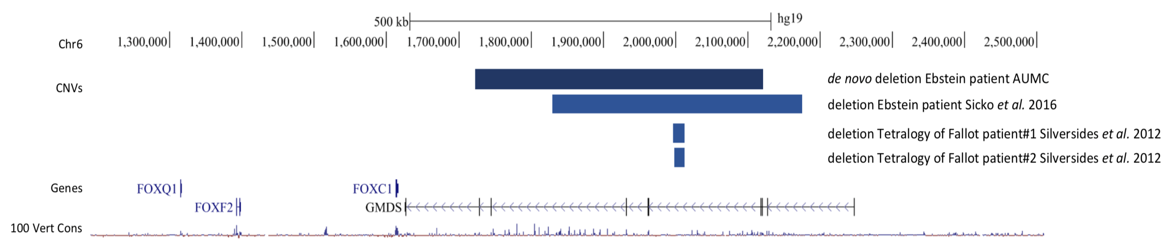 Cardiogenetics 13 00010 g002 Cardiogenetics 13 00010 g002