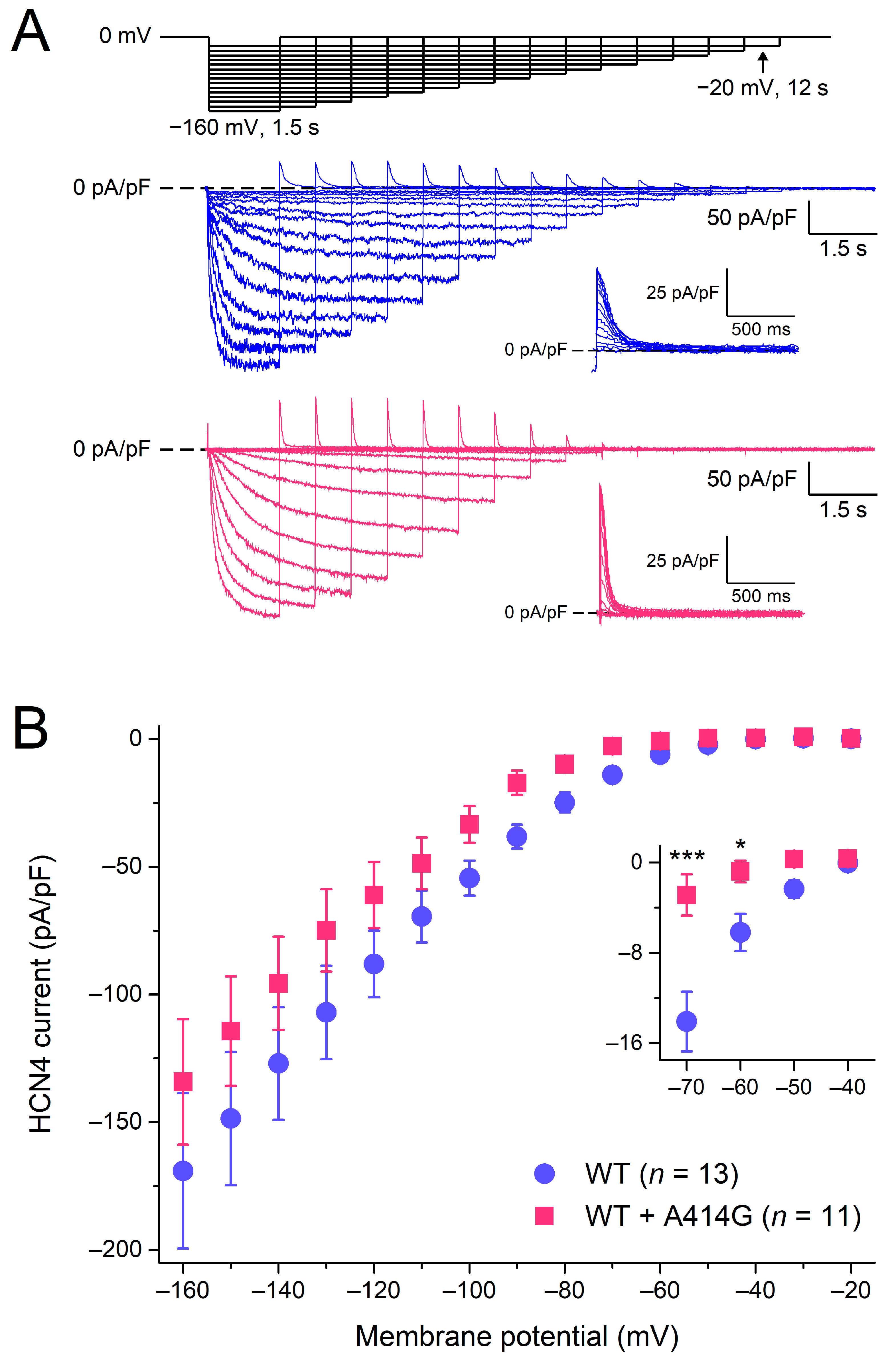 Cardiogenetics 13 00012 g002
