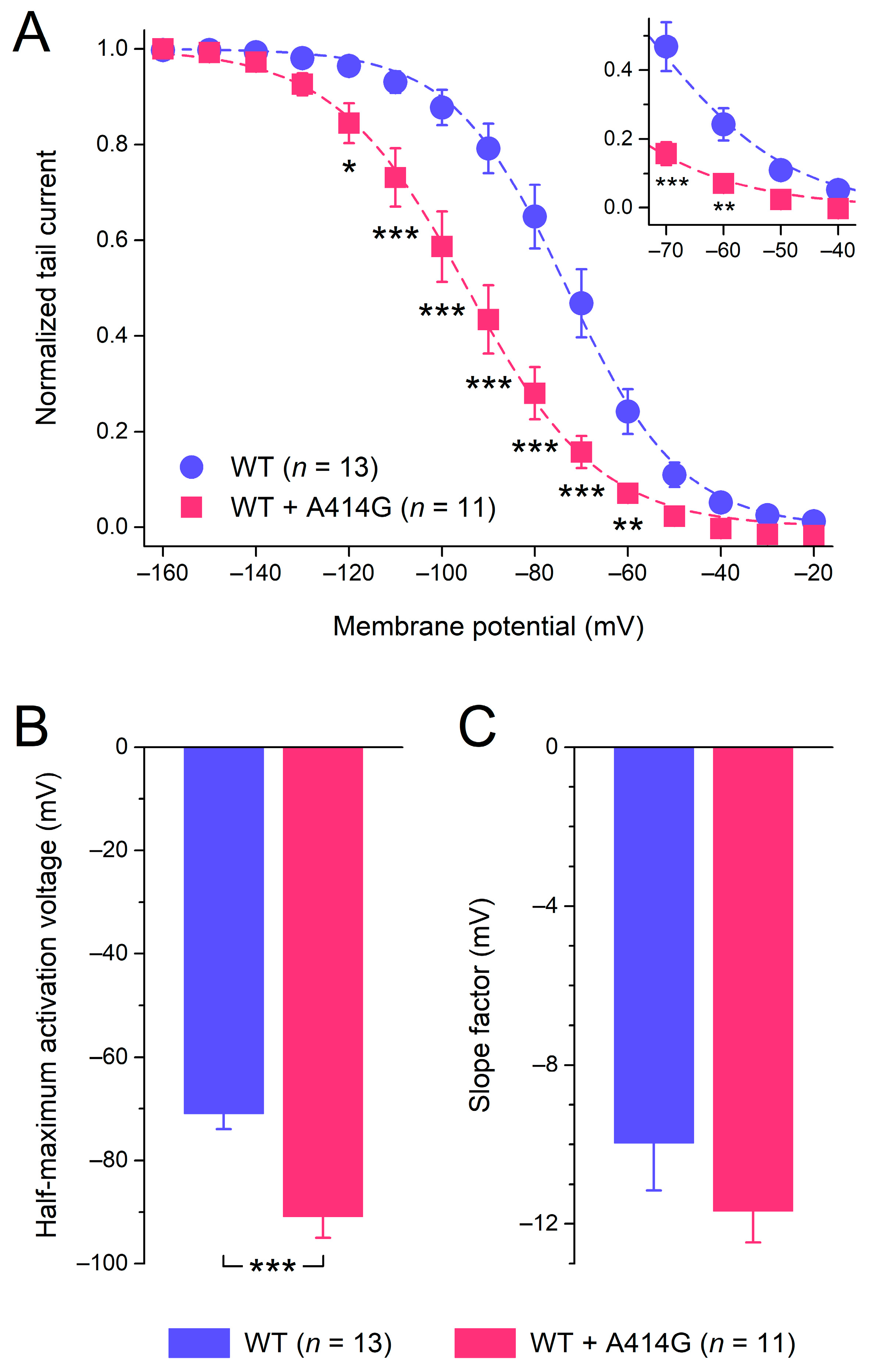 Cardiogenetics 13 00012 g003
