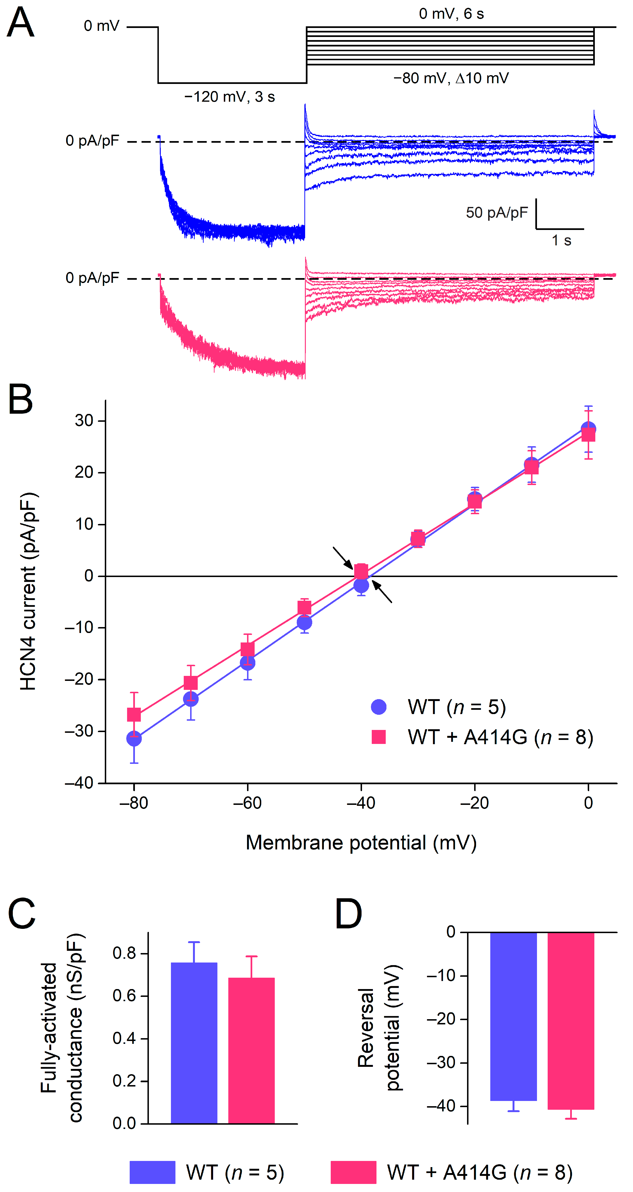 Cardiogenetics 13 00012 g005